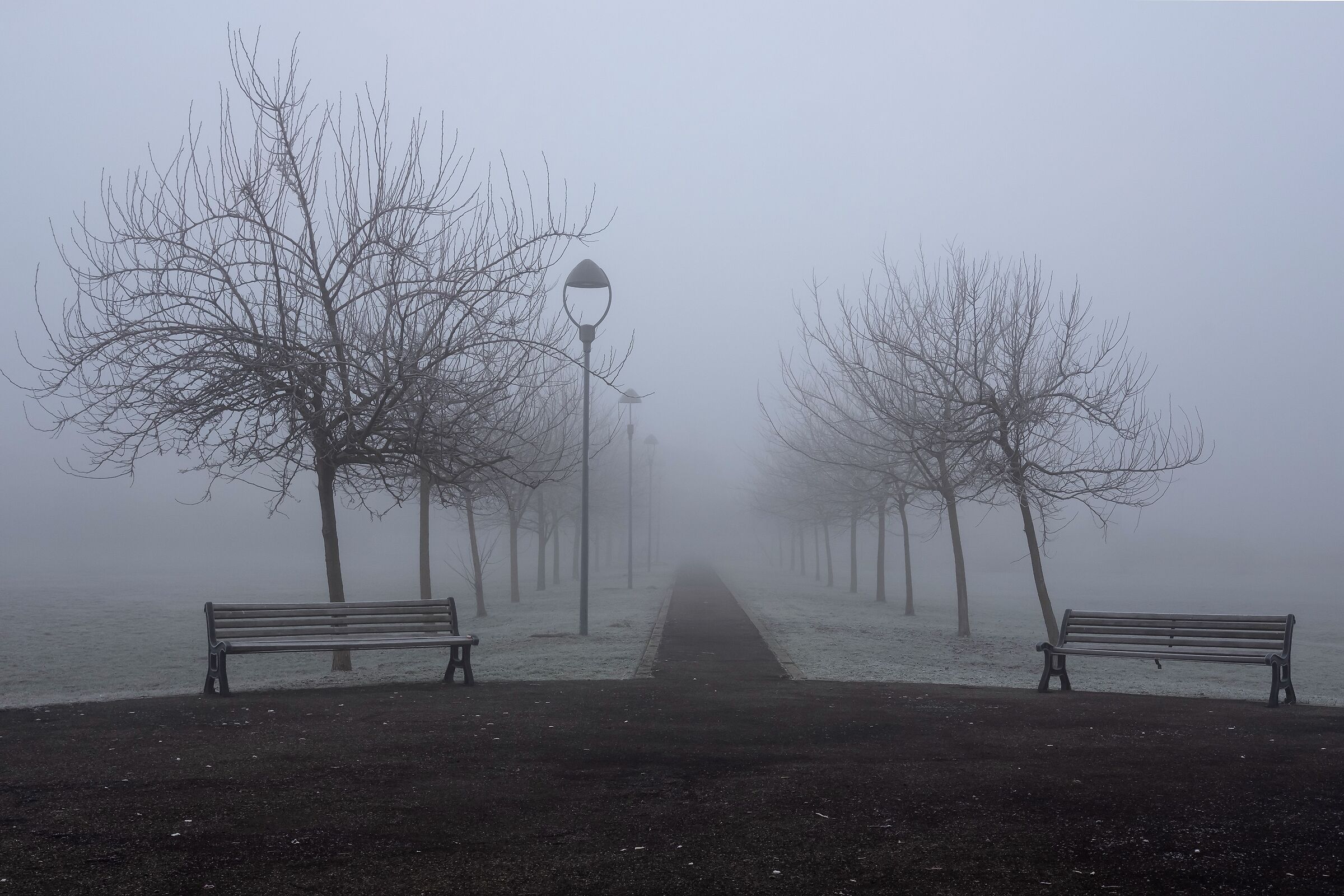 il giardino incantato