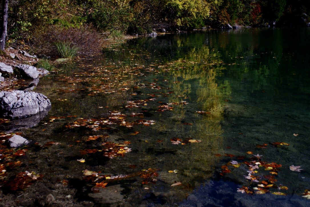 Riflessi nel Lago di Tovel