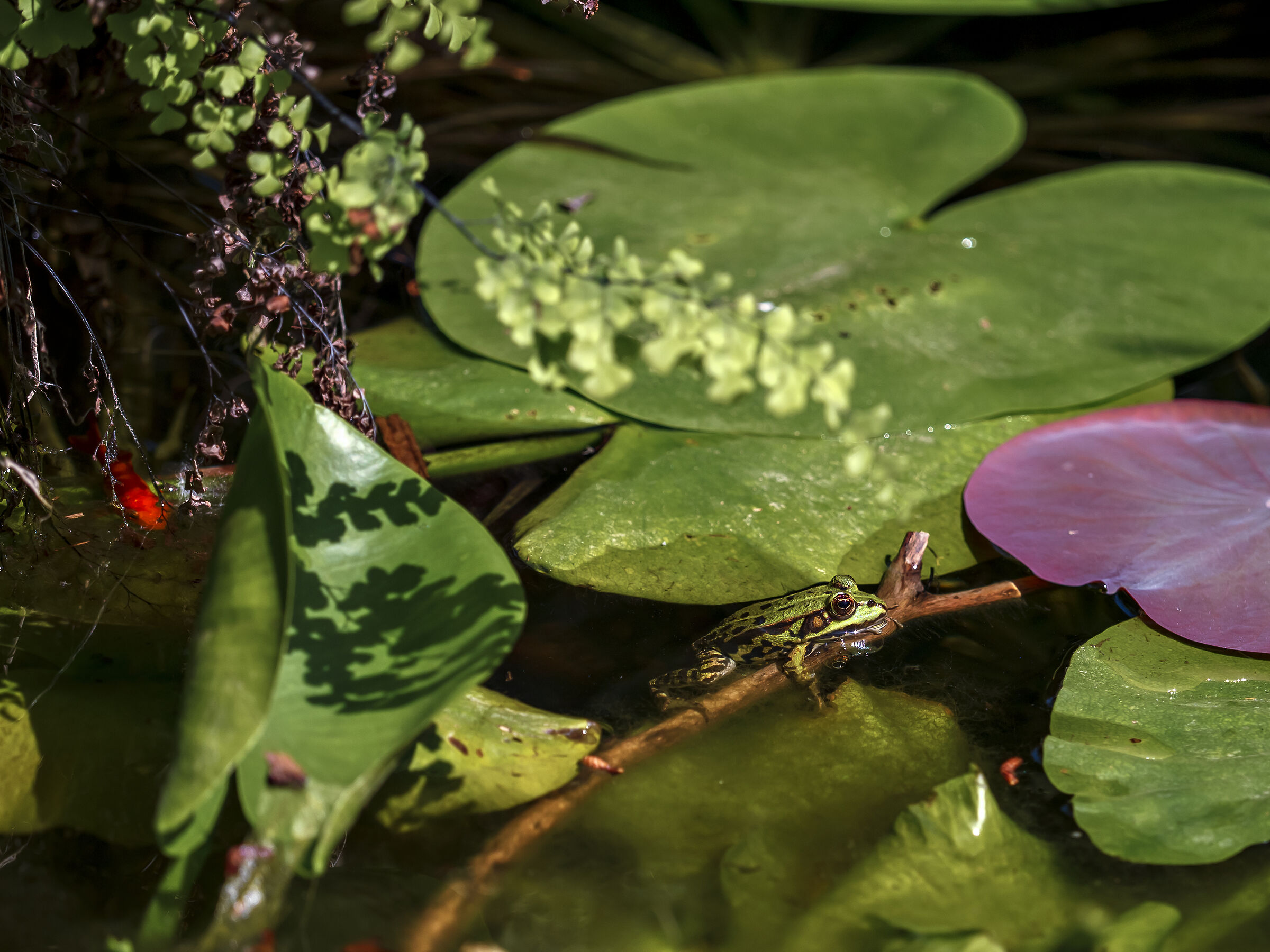 How hot, how boring..