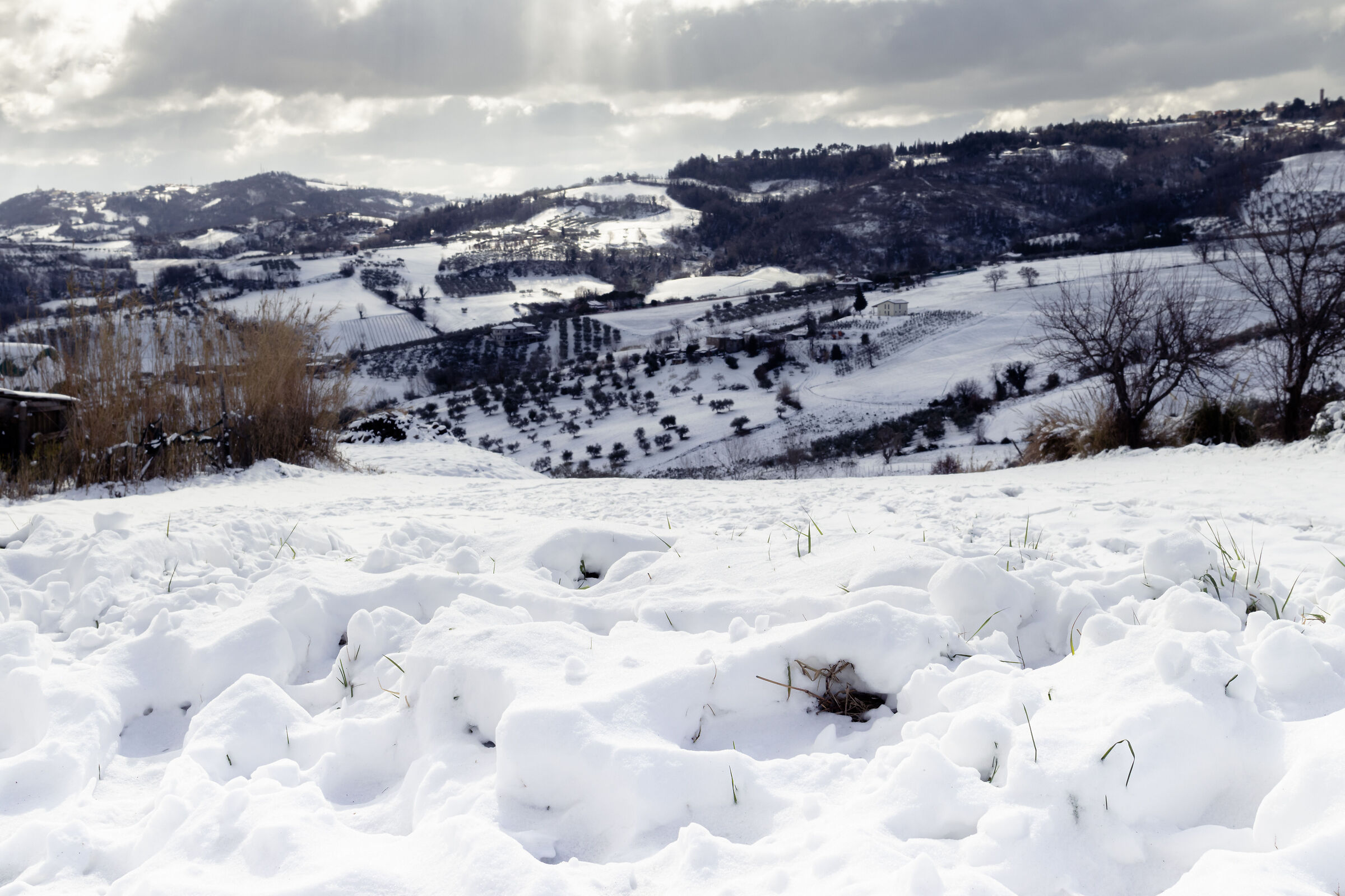 The Solitude of the Cold