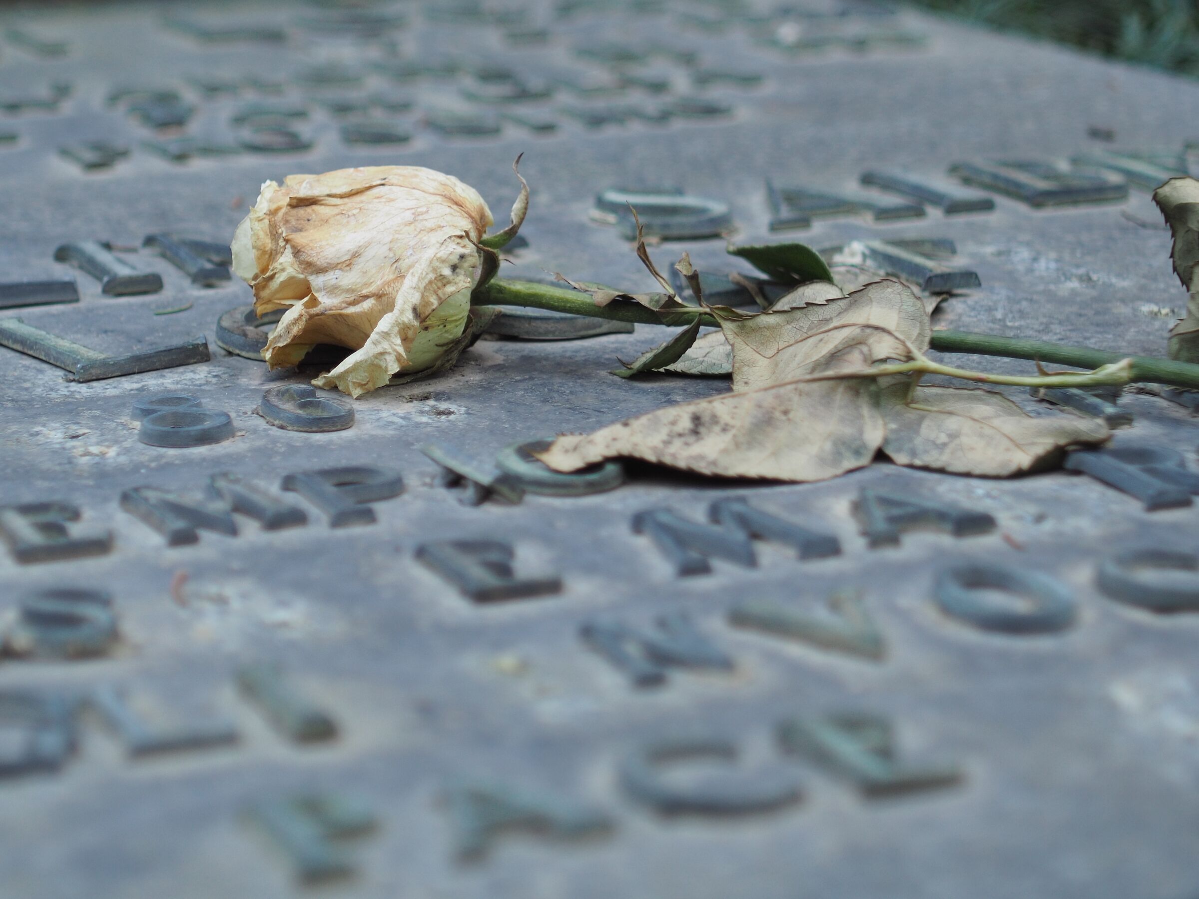 Carl Zeiss Distagon 35 f2.8 a f2.8