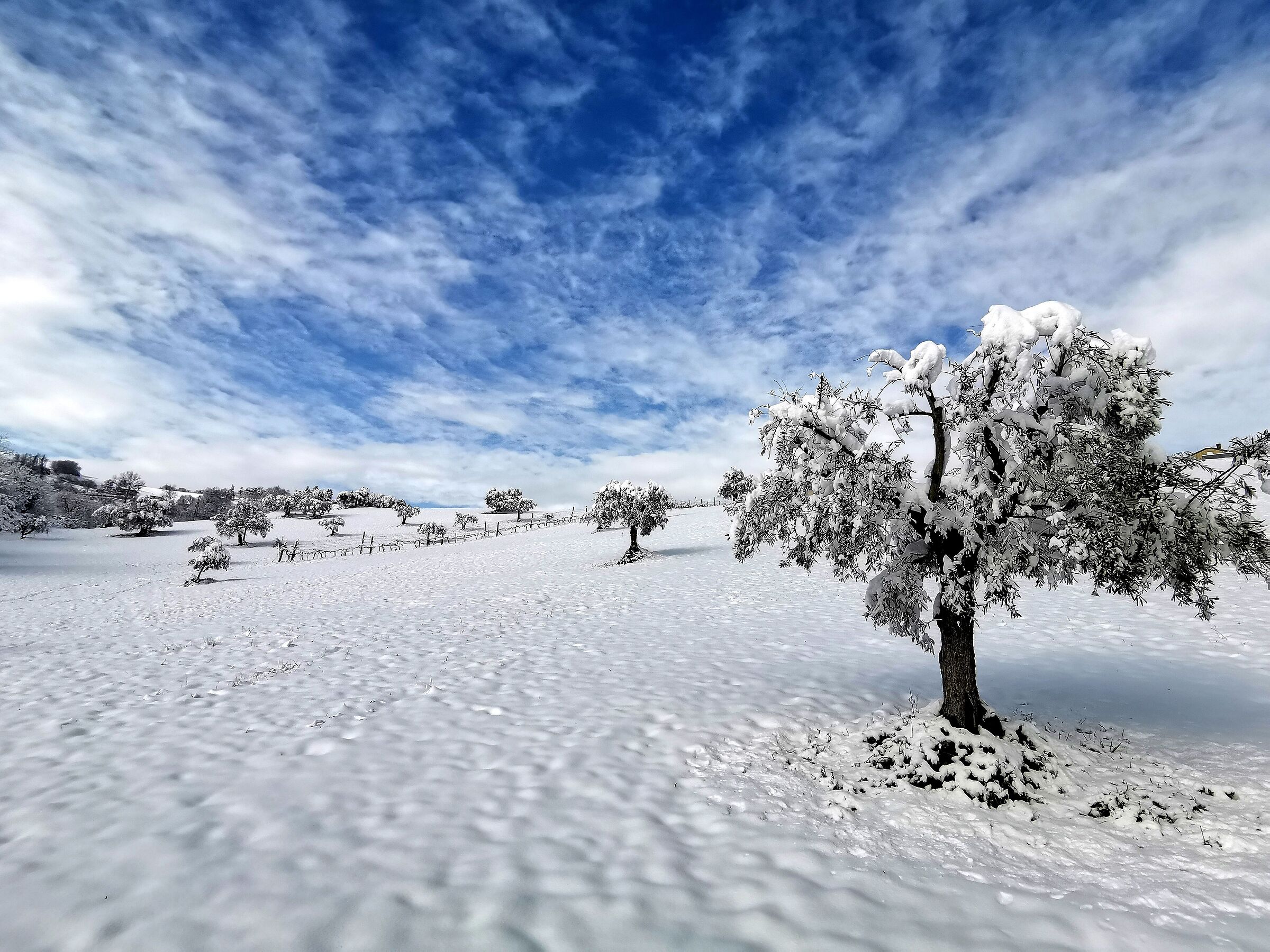 Snow