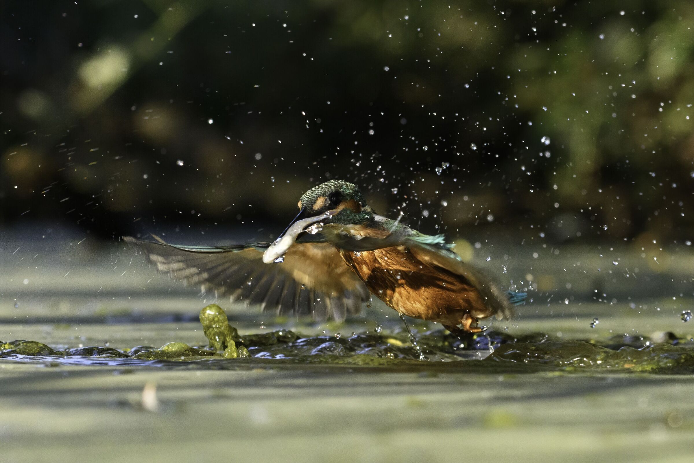 and what do you want??