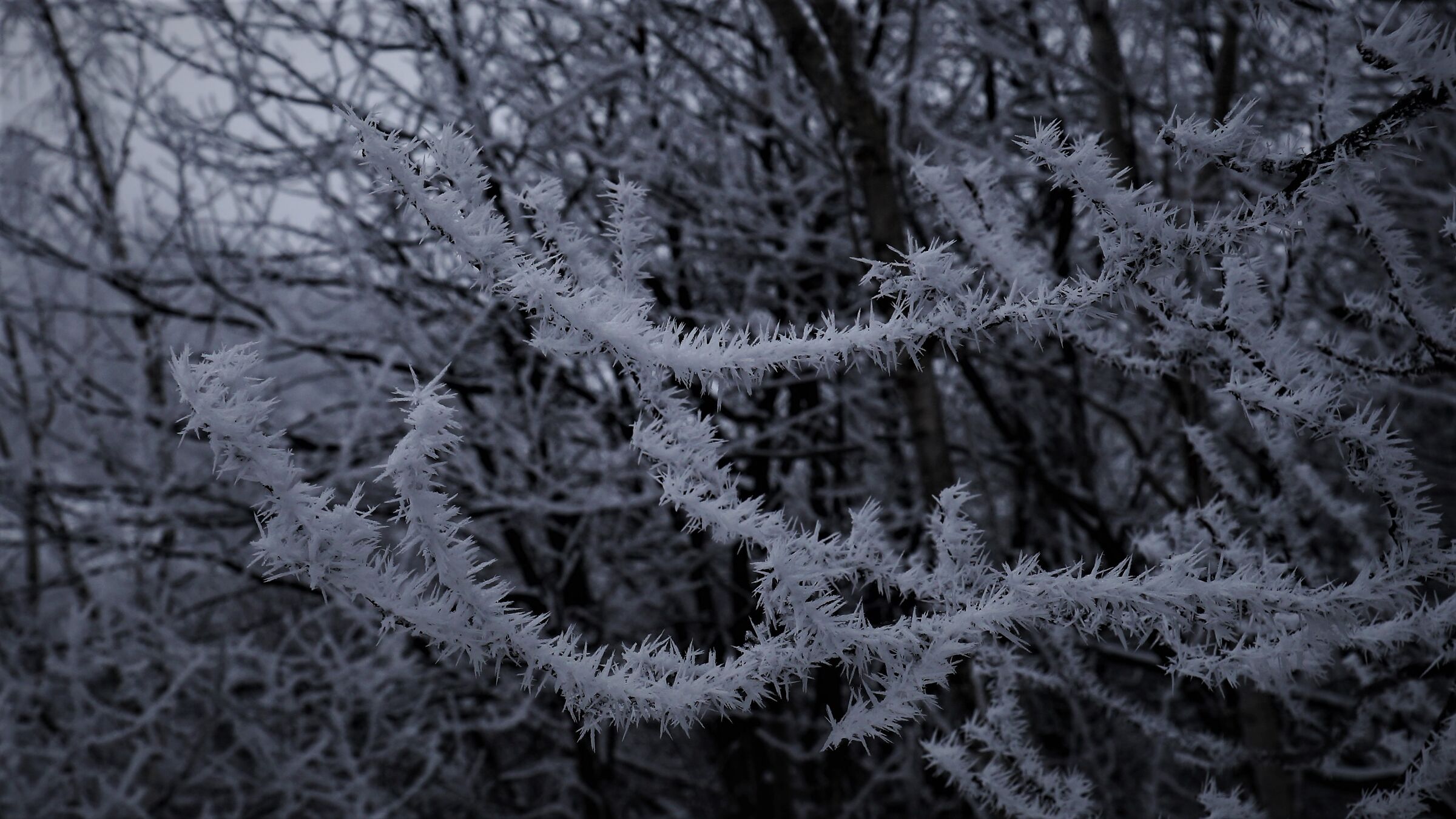 Galaverna, California