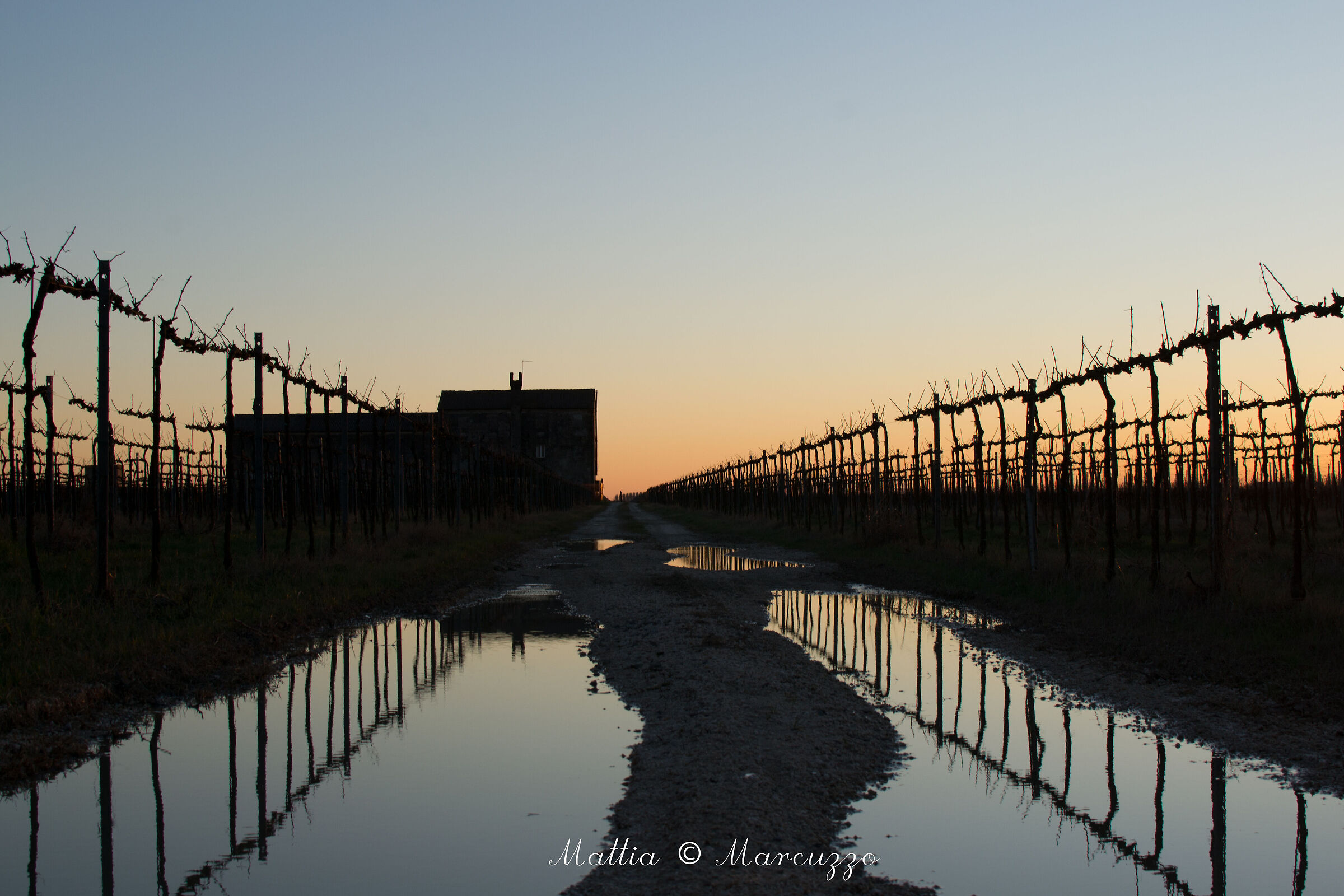 Una fredda sera di Febbraio