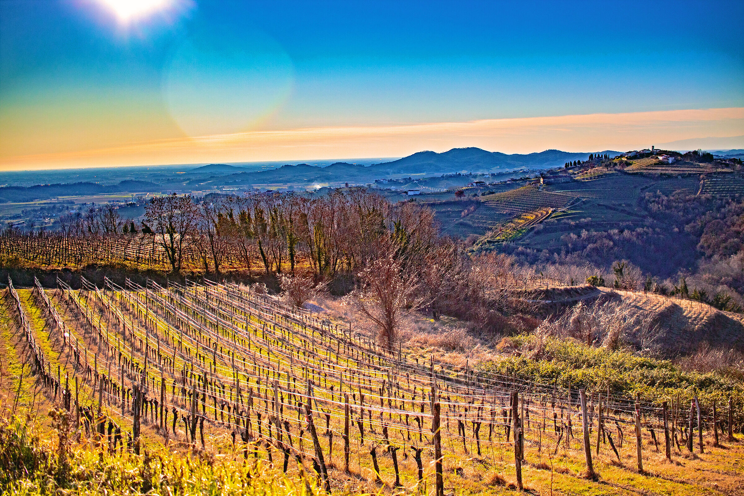collio friulano da gorizia