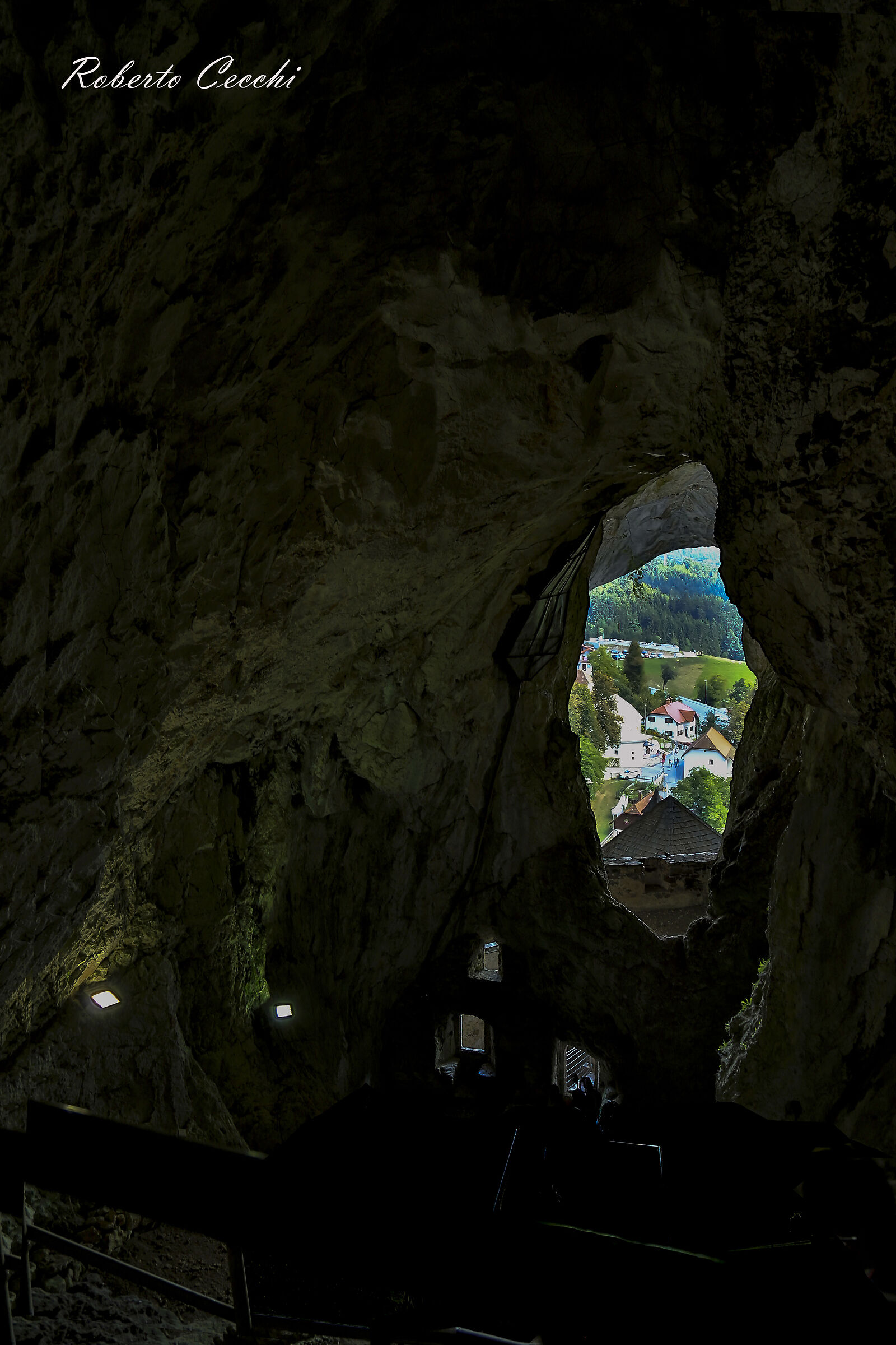 Nel ventre della balena