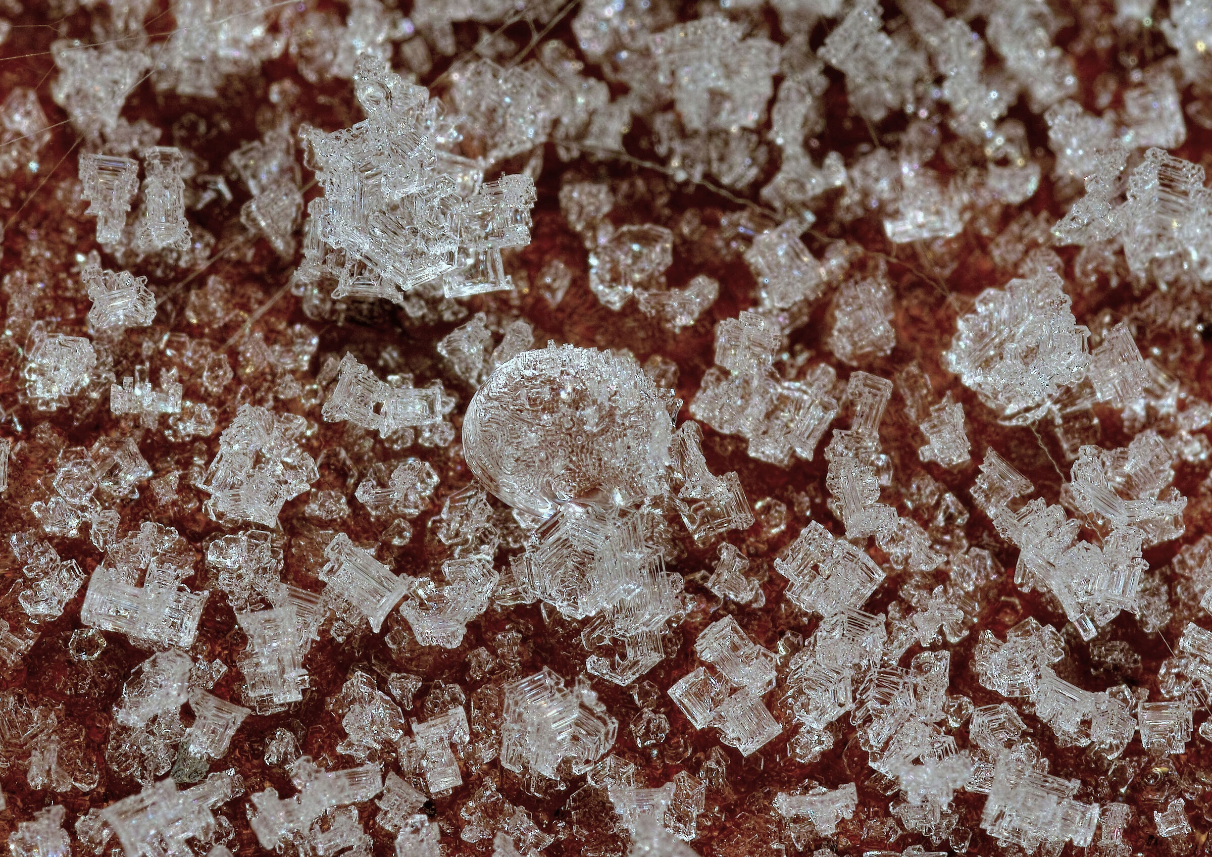 Frost