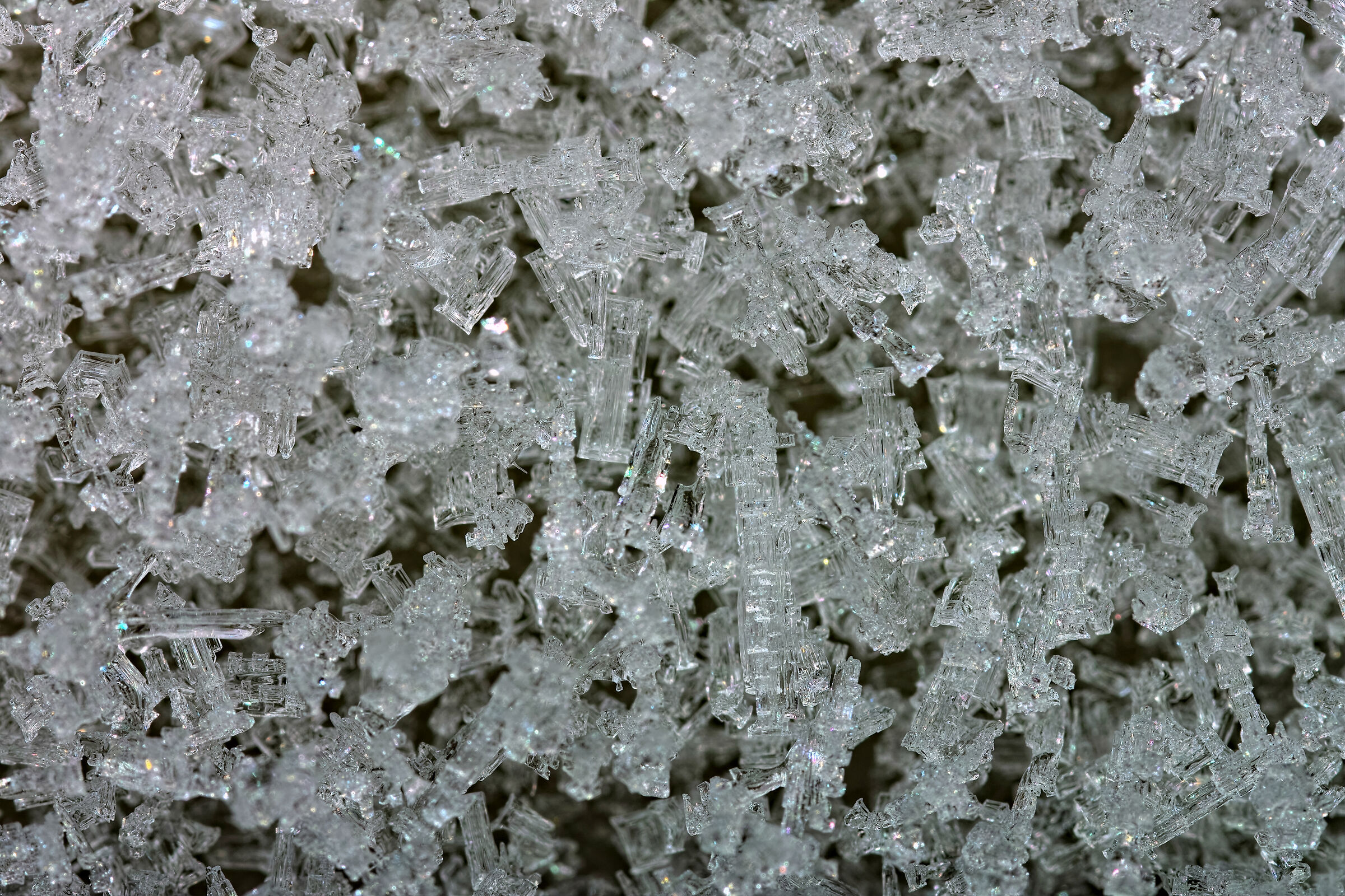 Frost
