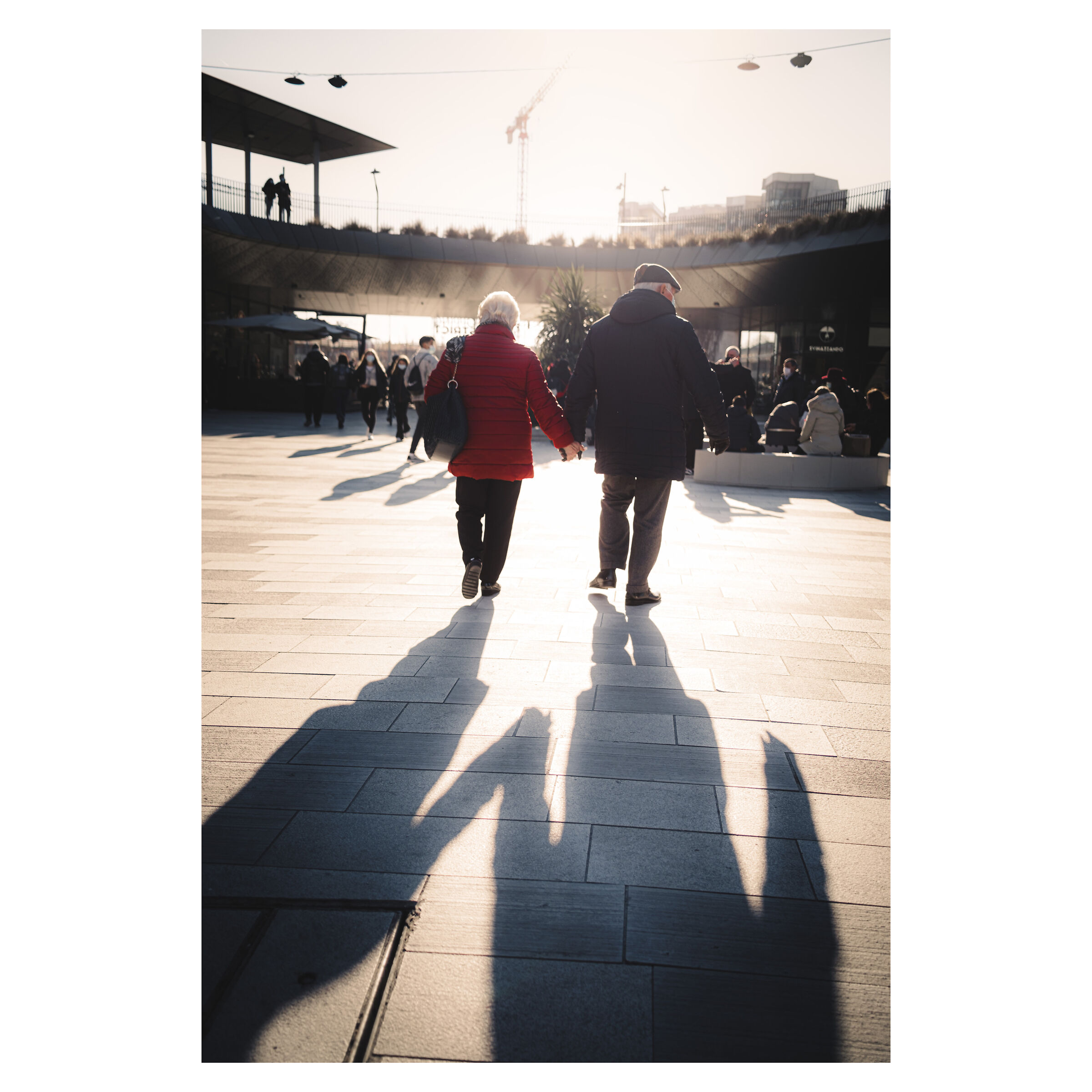 Il cammino insieme 2