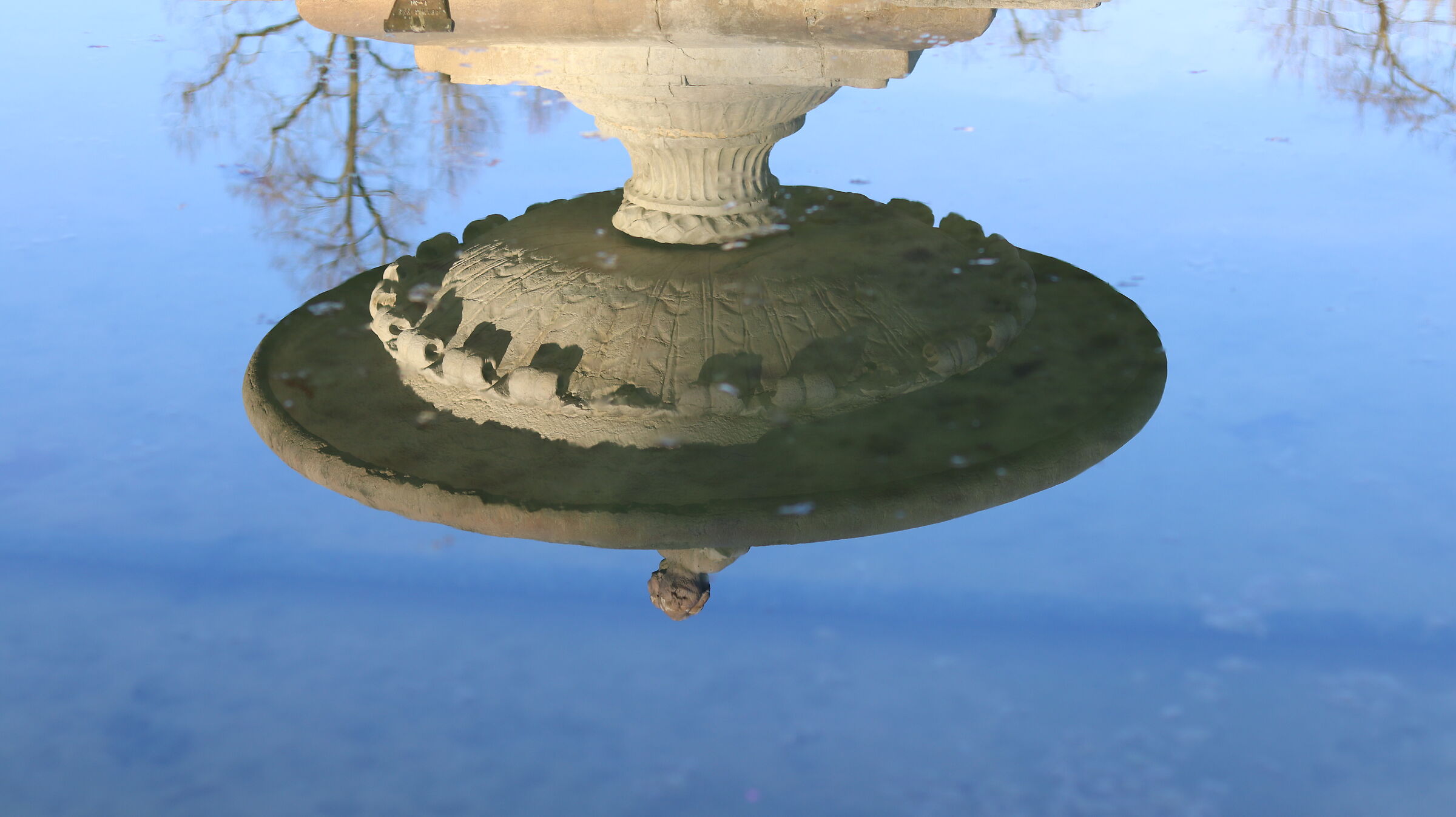 Reflection