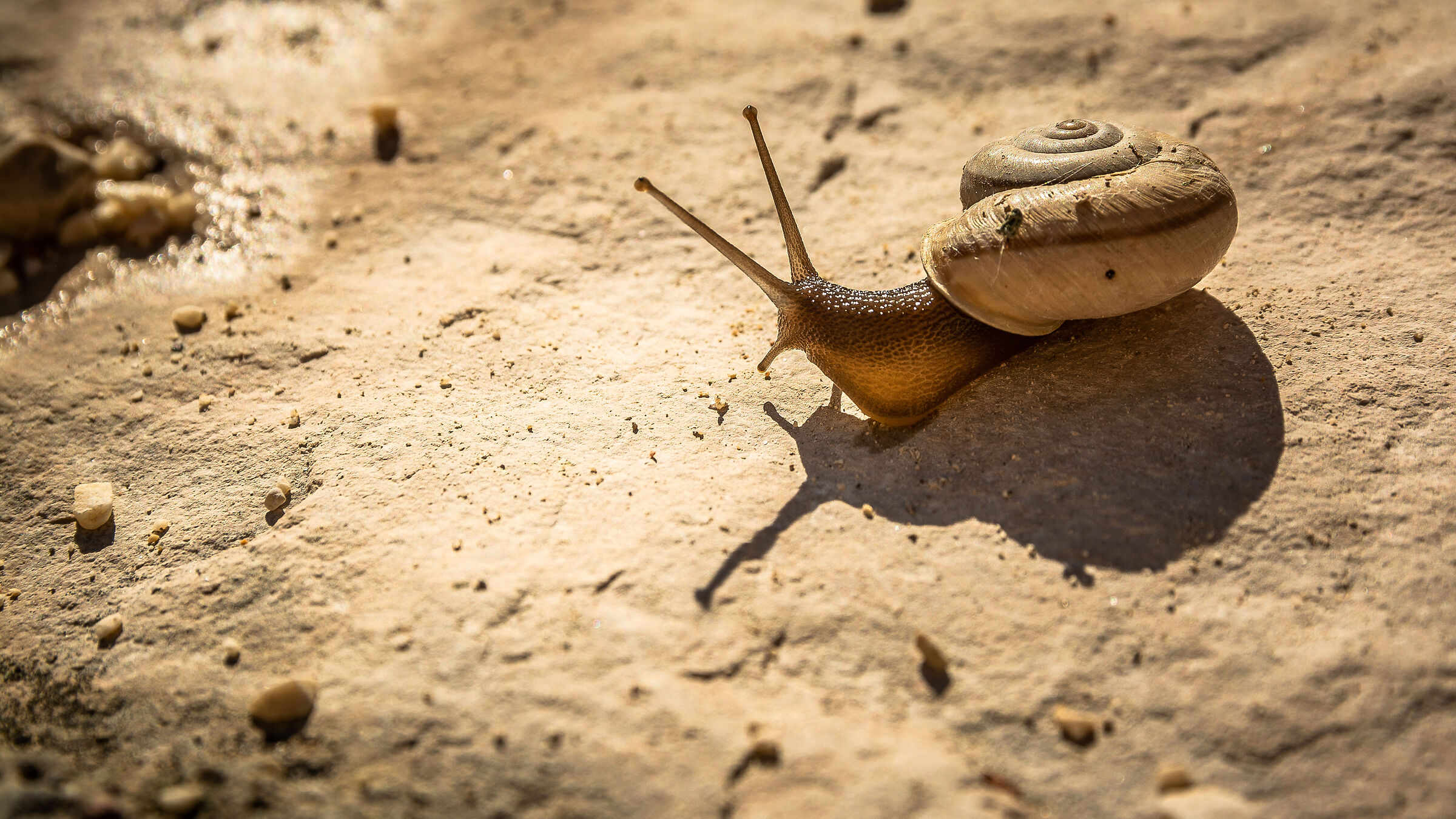 tutto troppo arido...