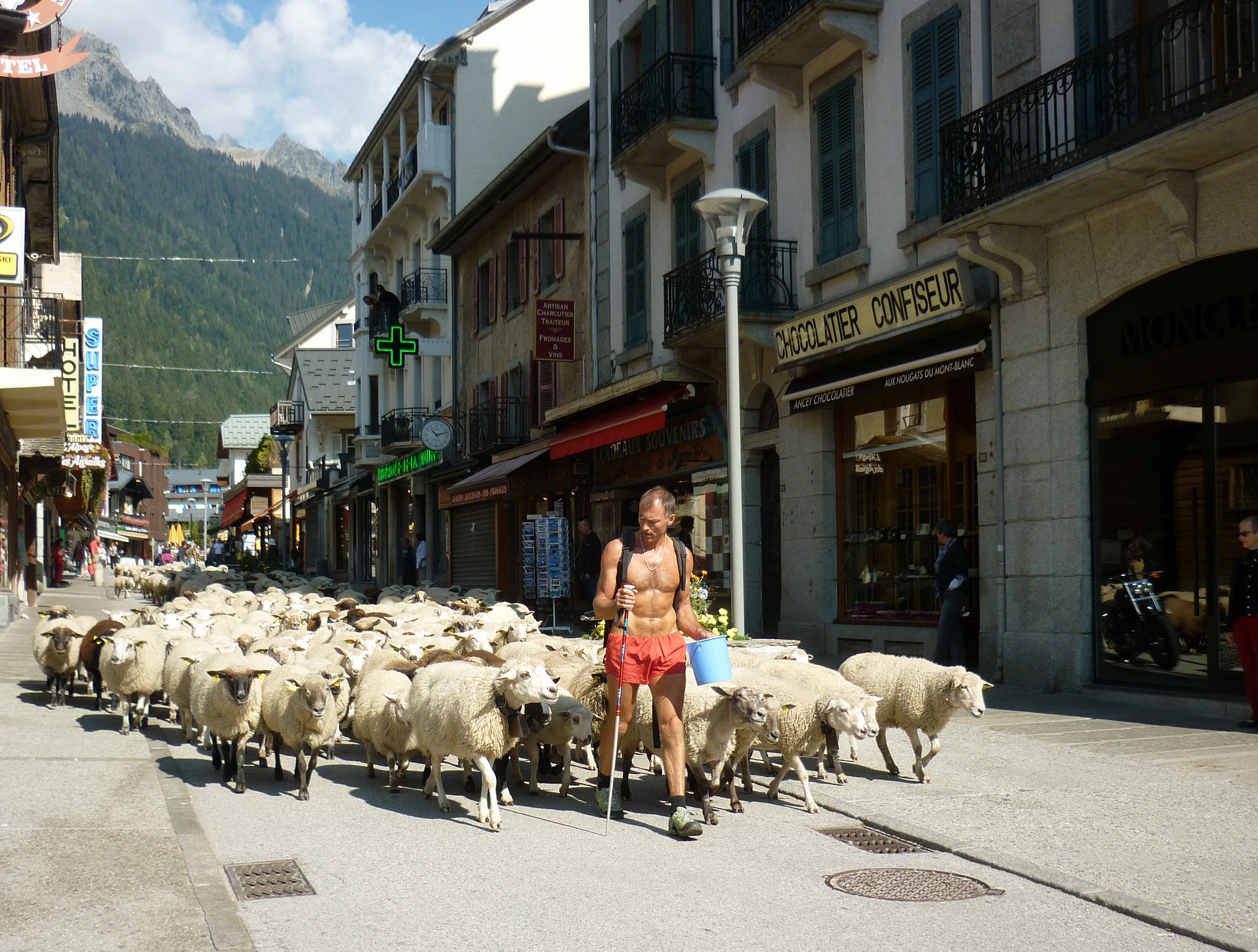 Sheep in Chamonix