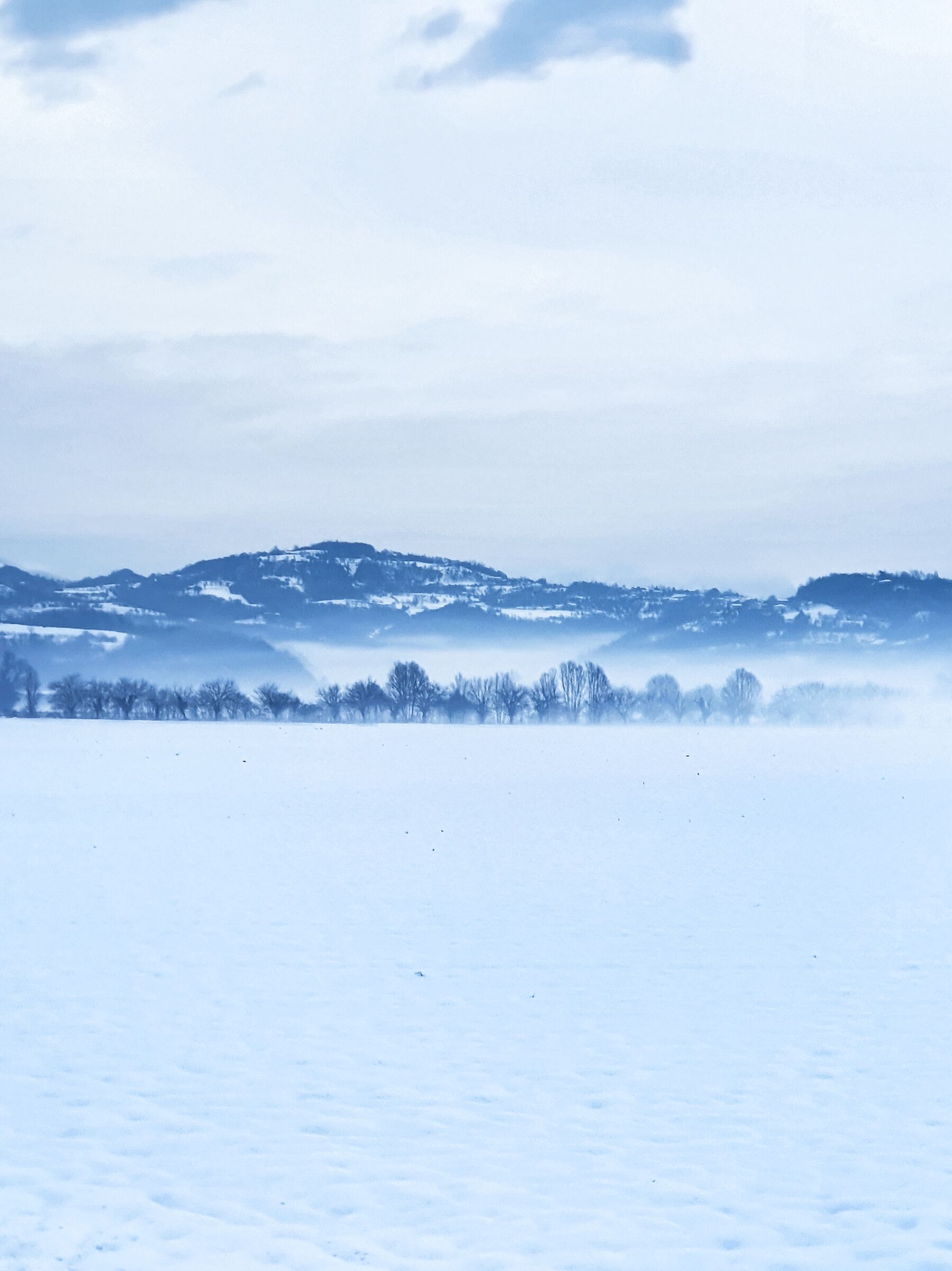 Untitled Photo