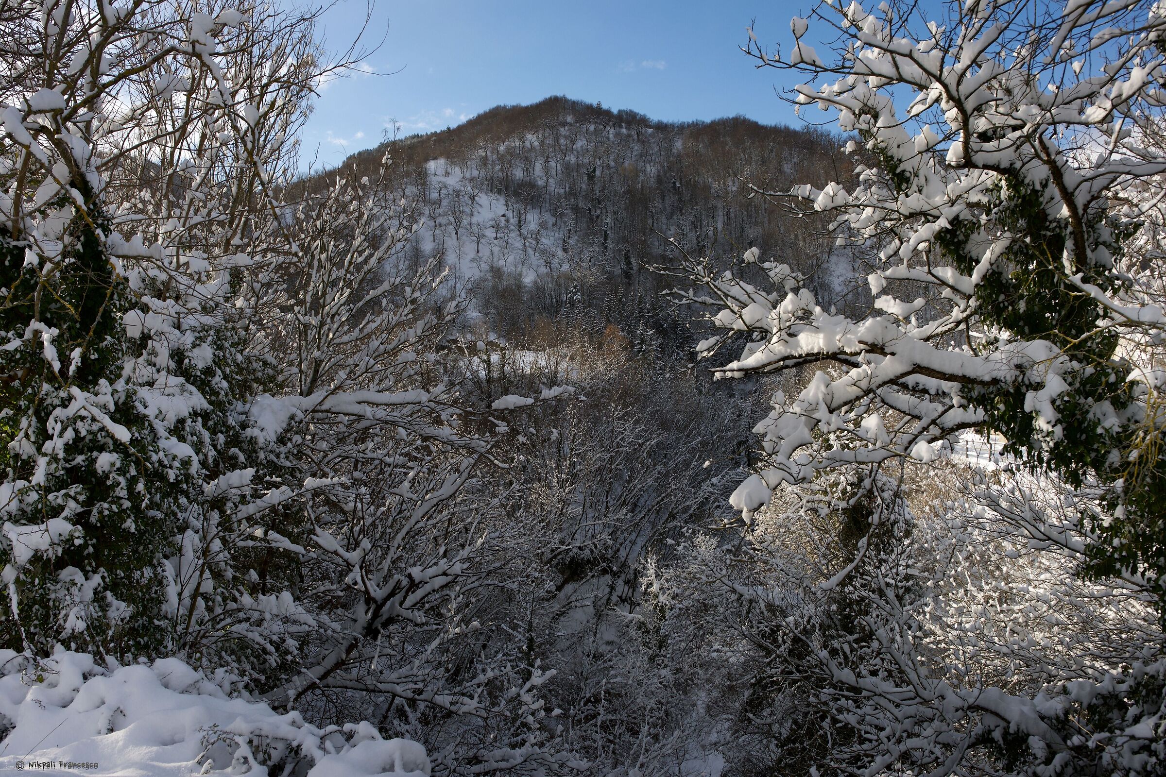 St. George at the Island (AP)