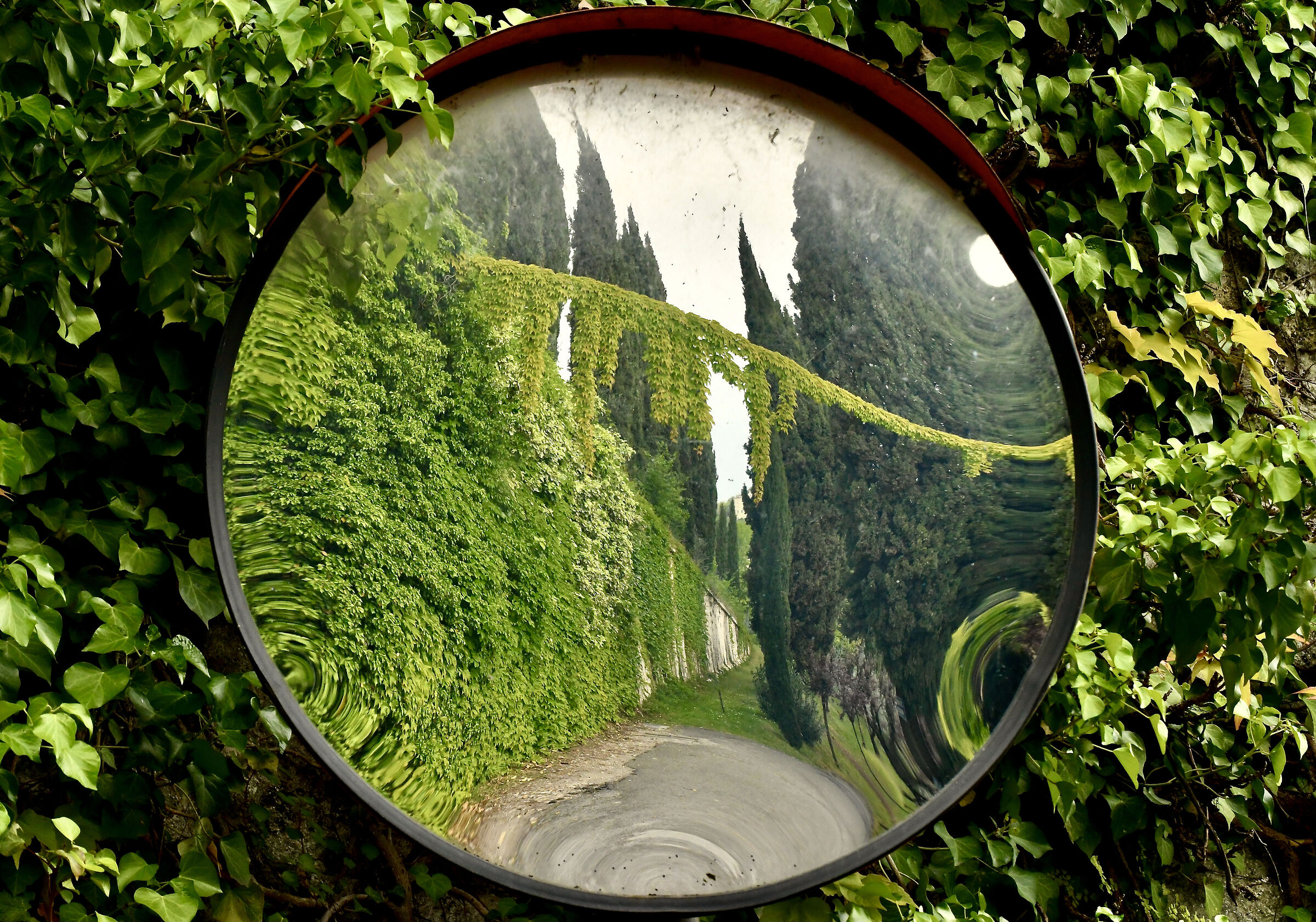 Riflesso, il fratello molto povero di Roberto Nisi!!!