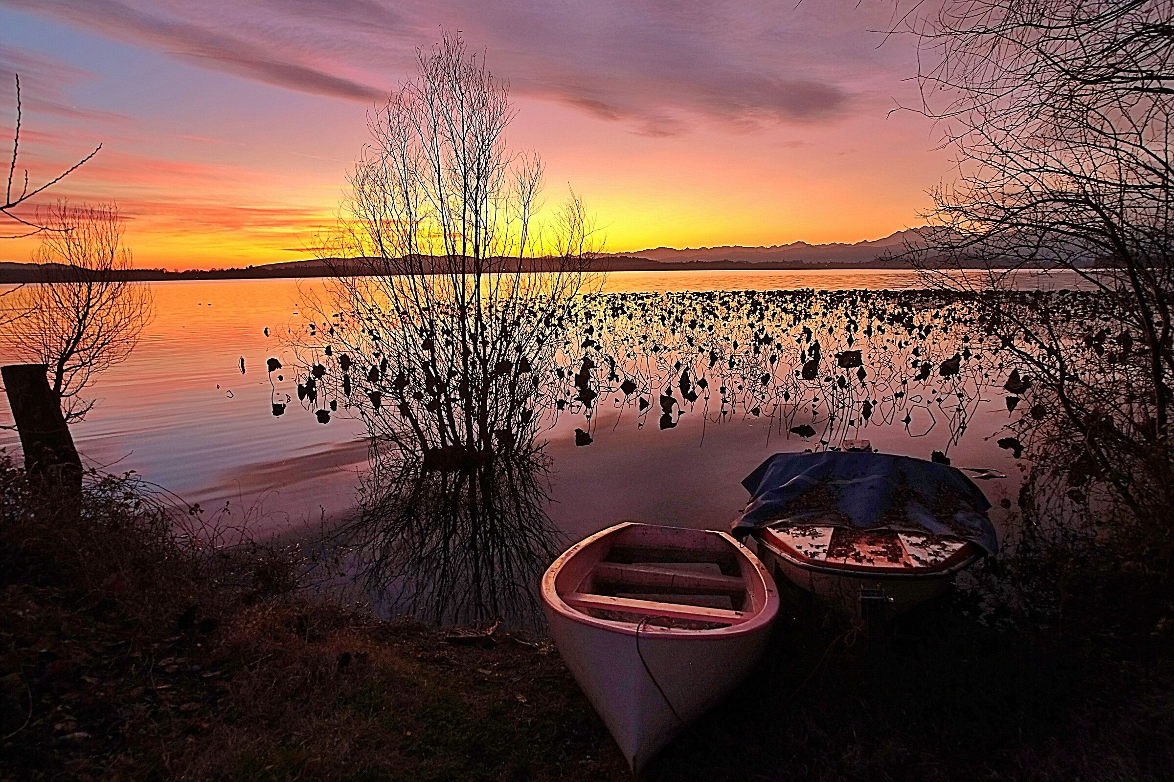 Fish calcinate: Lake Varese: Moored boats
