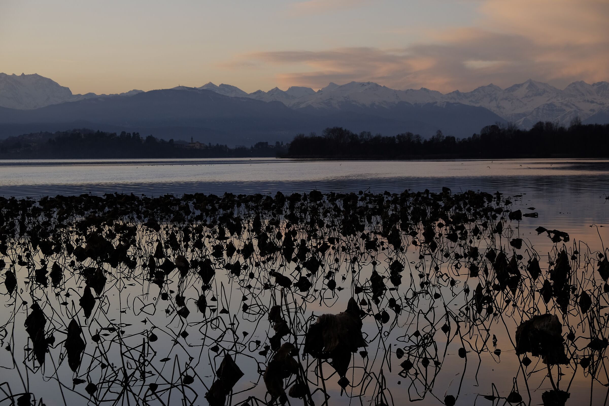 Sunset: Calcinate of fish
