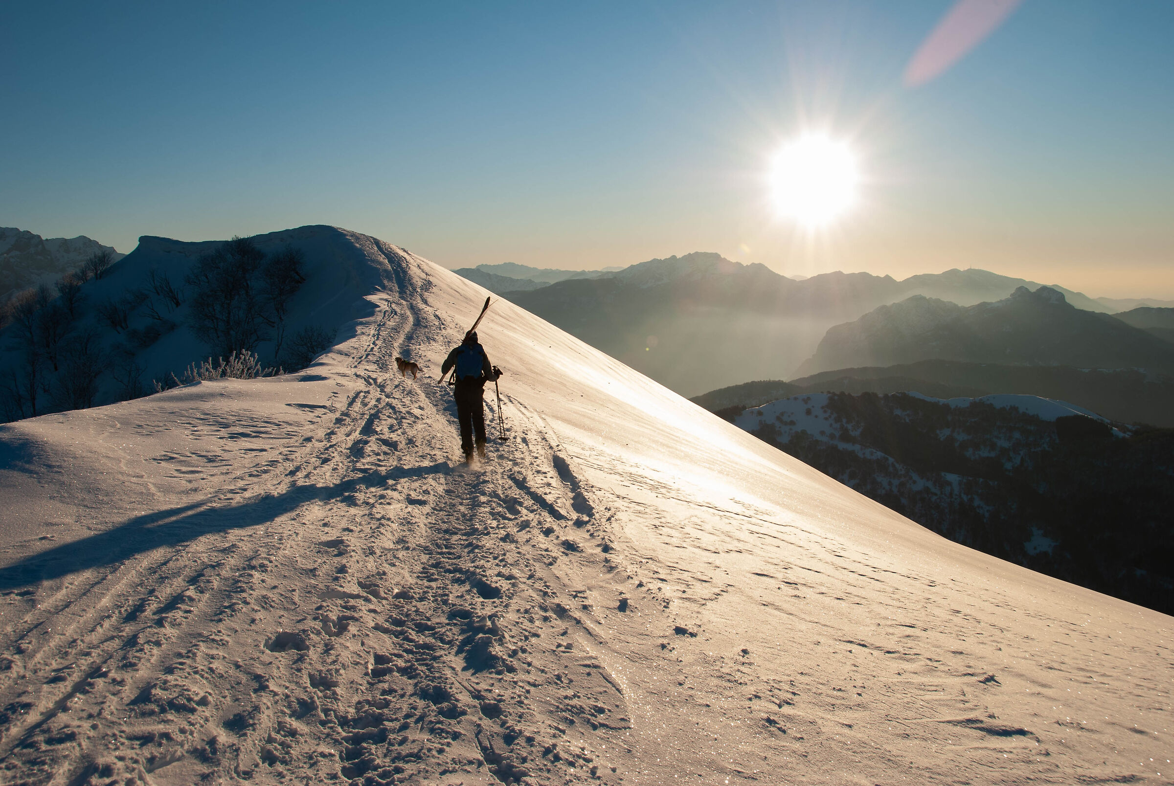 Ski mountaineer with four-legged friend