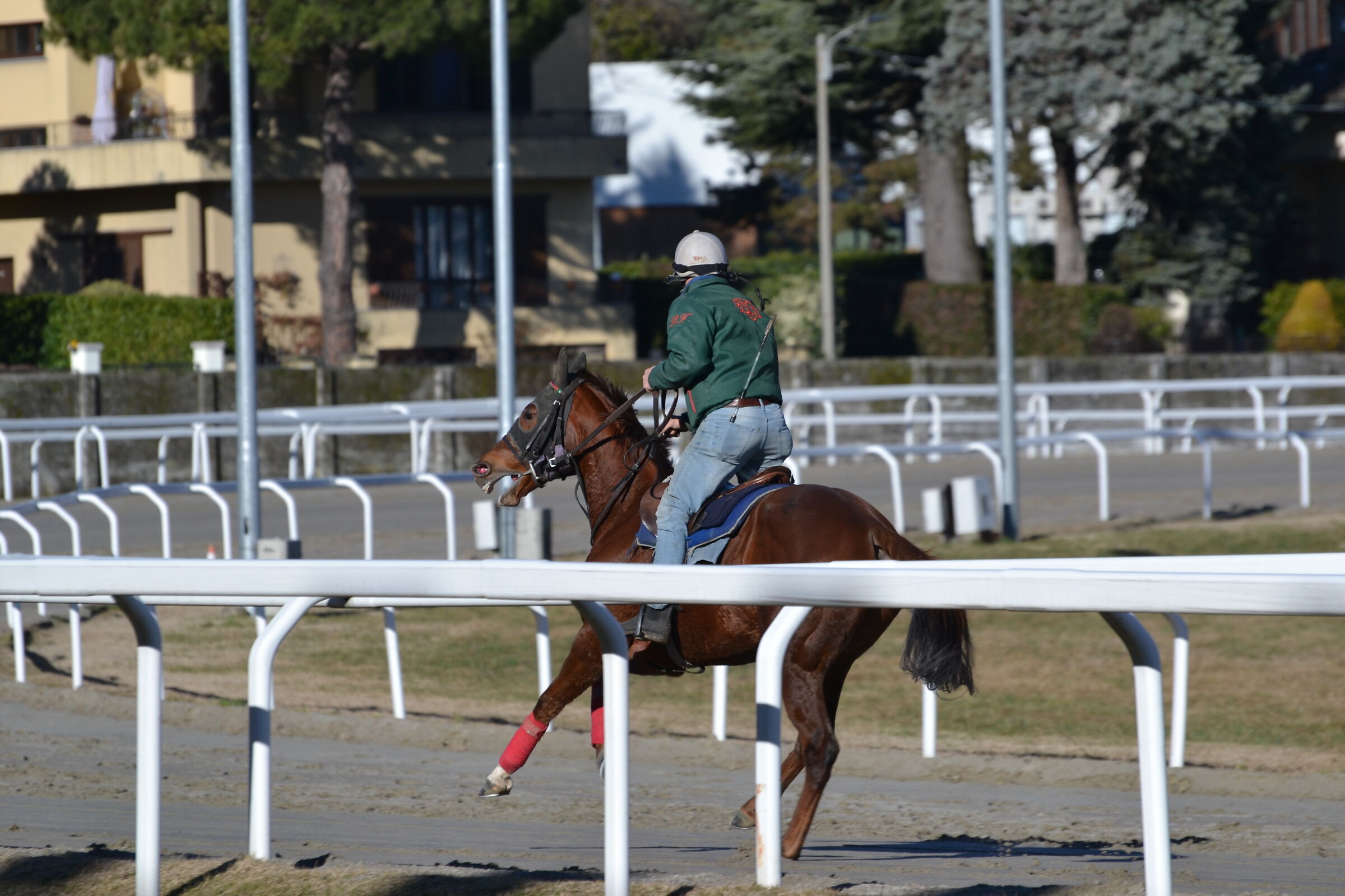 corri ..Furia cavallo del west