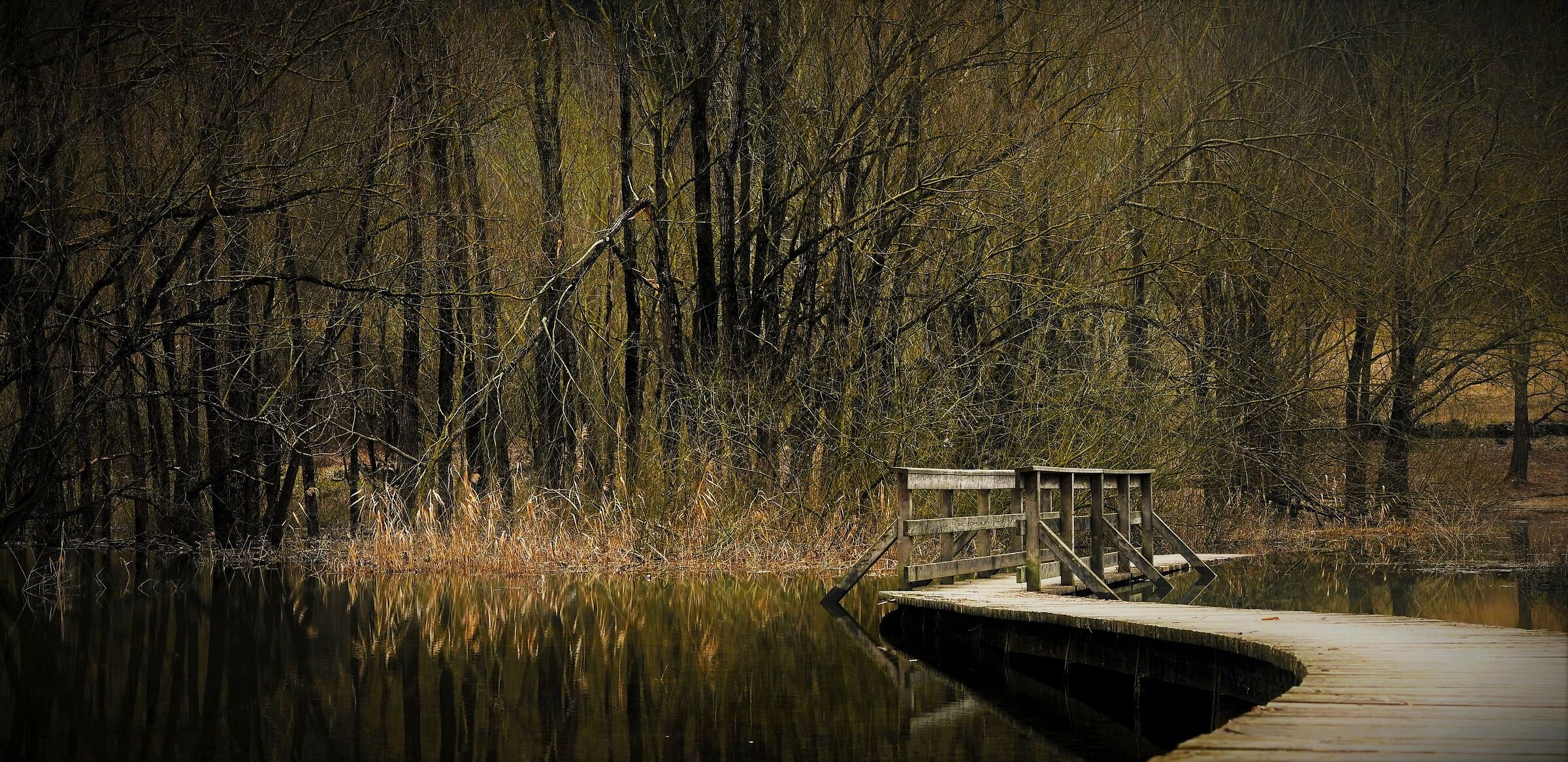 Terlago pond.. Waiting for you colors of primaver.