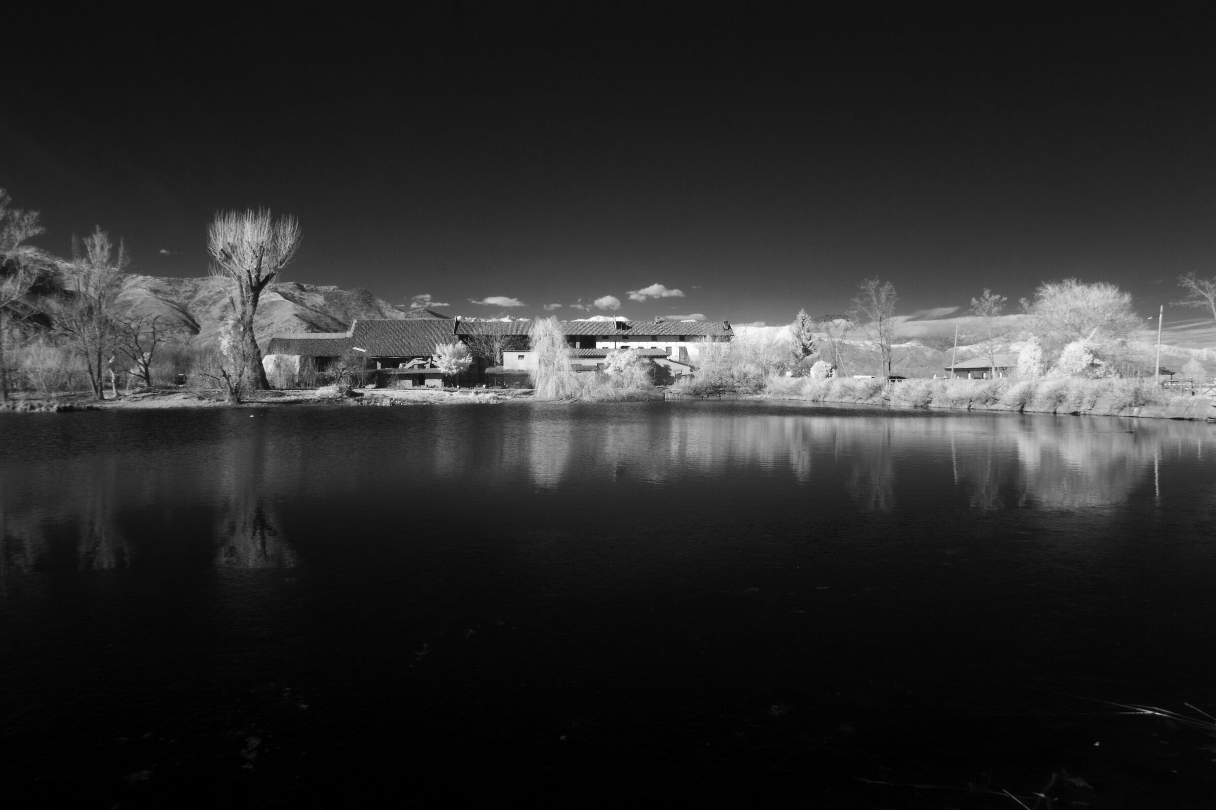 Untitled Photo