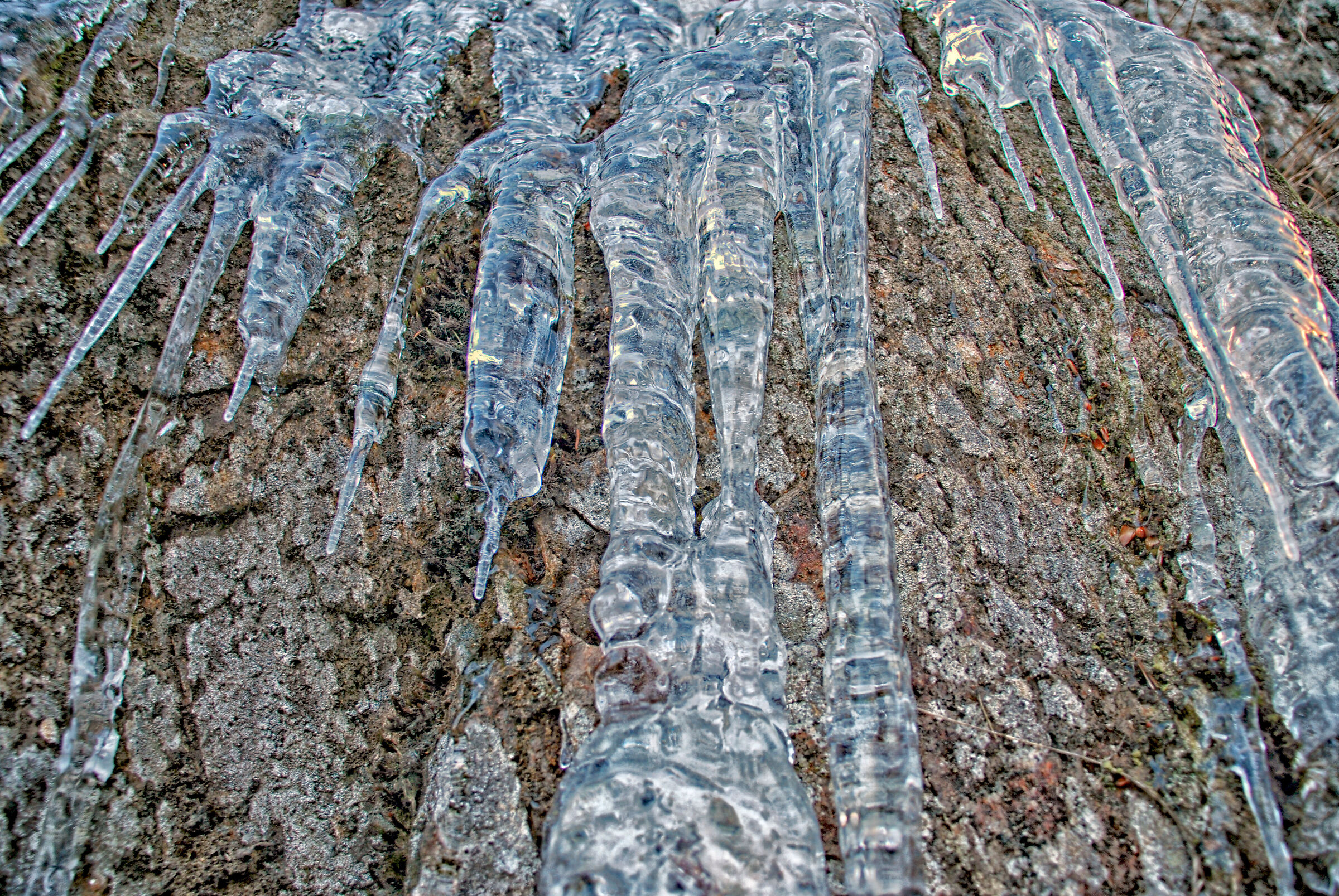 ice day
