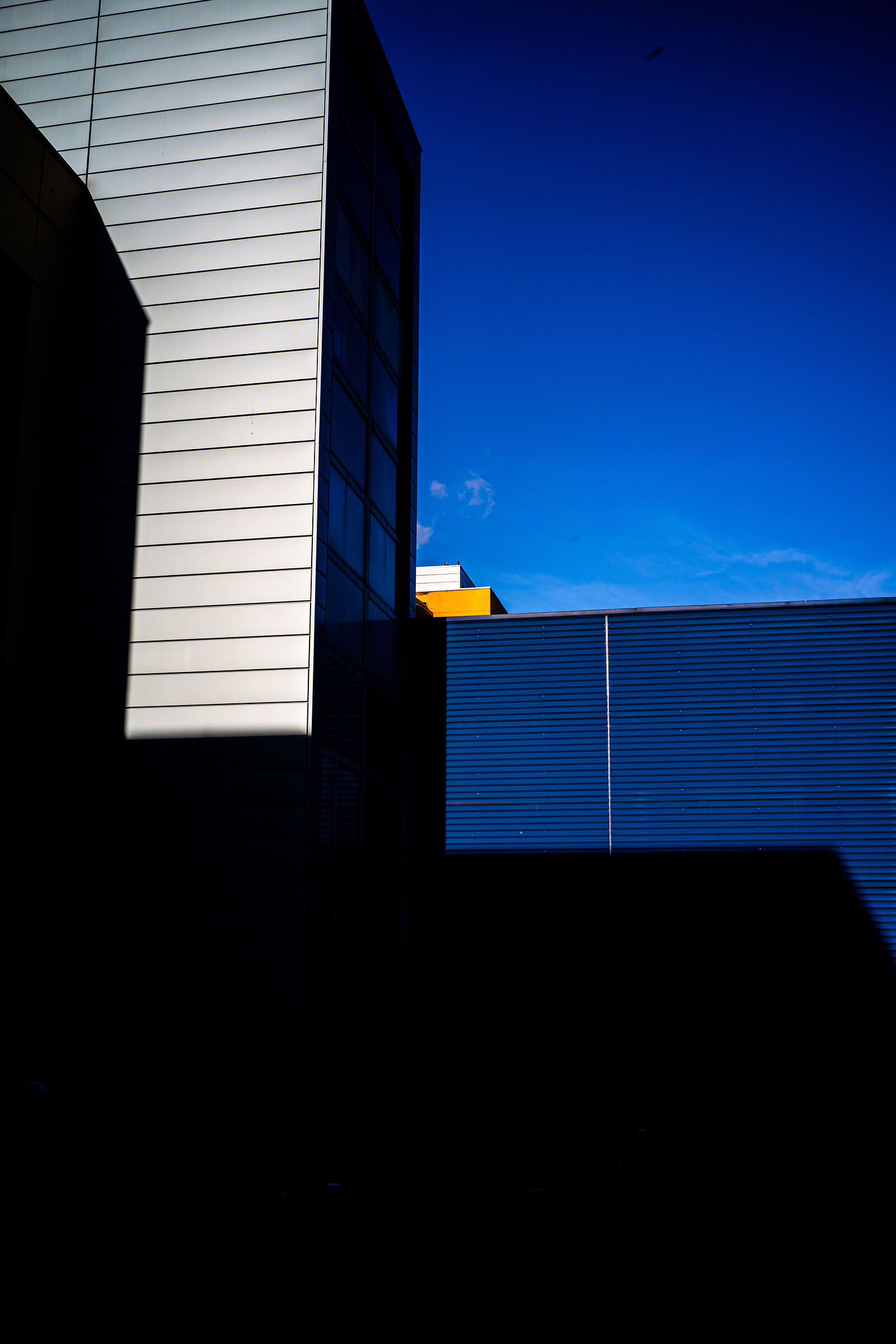 Untitled Photo