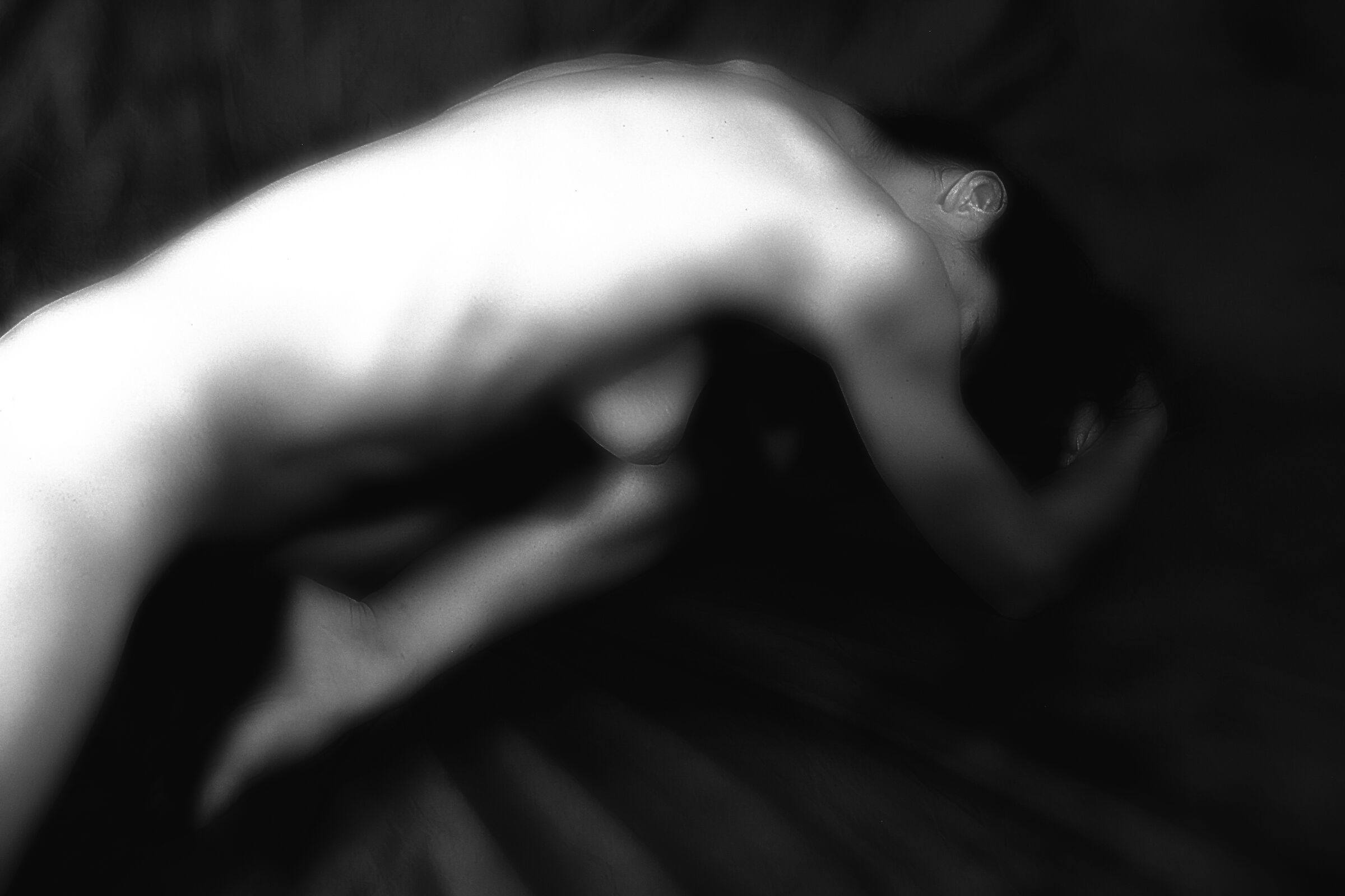 Forms