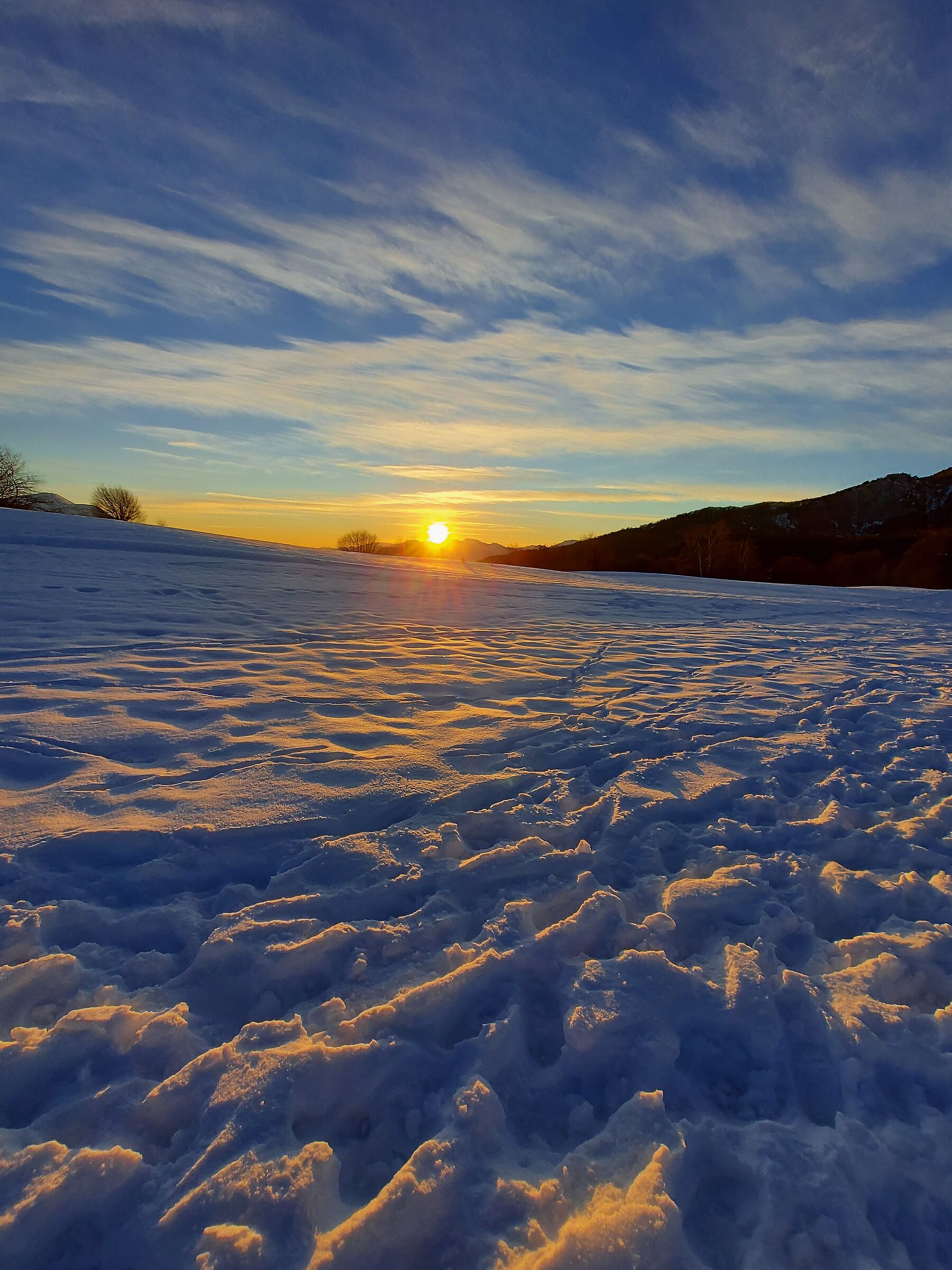 Tramonto al limitare del bosco
