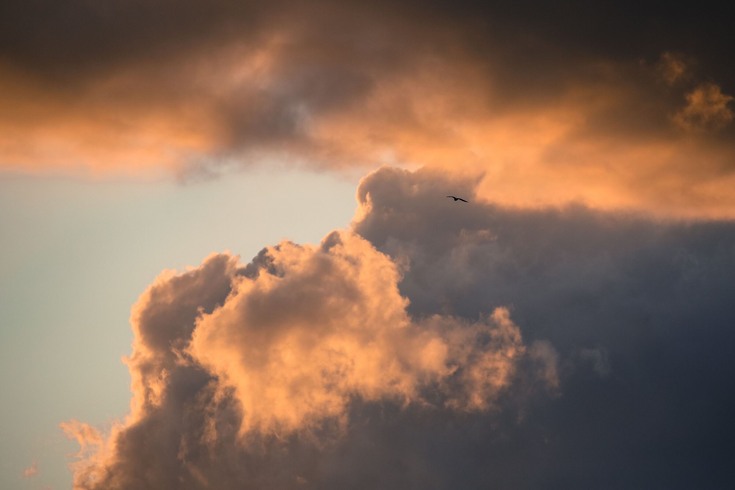 In flight