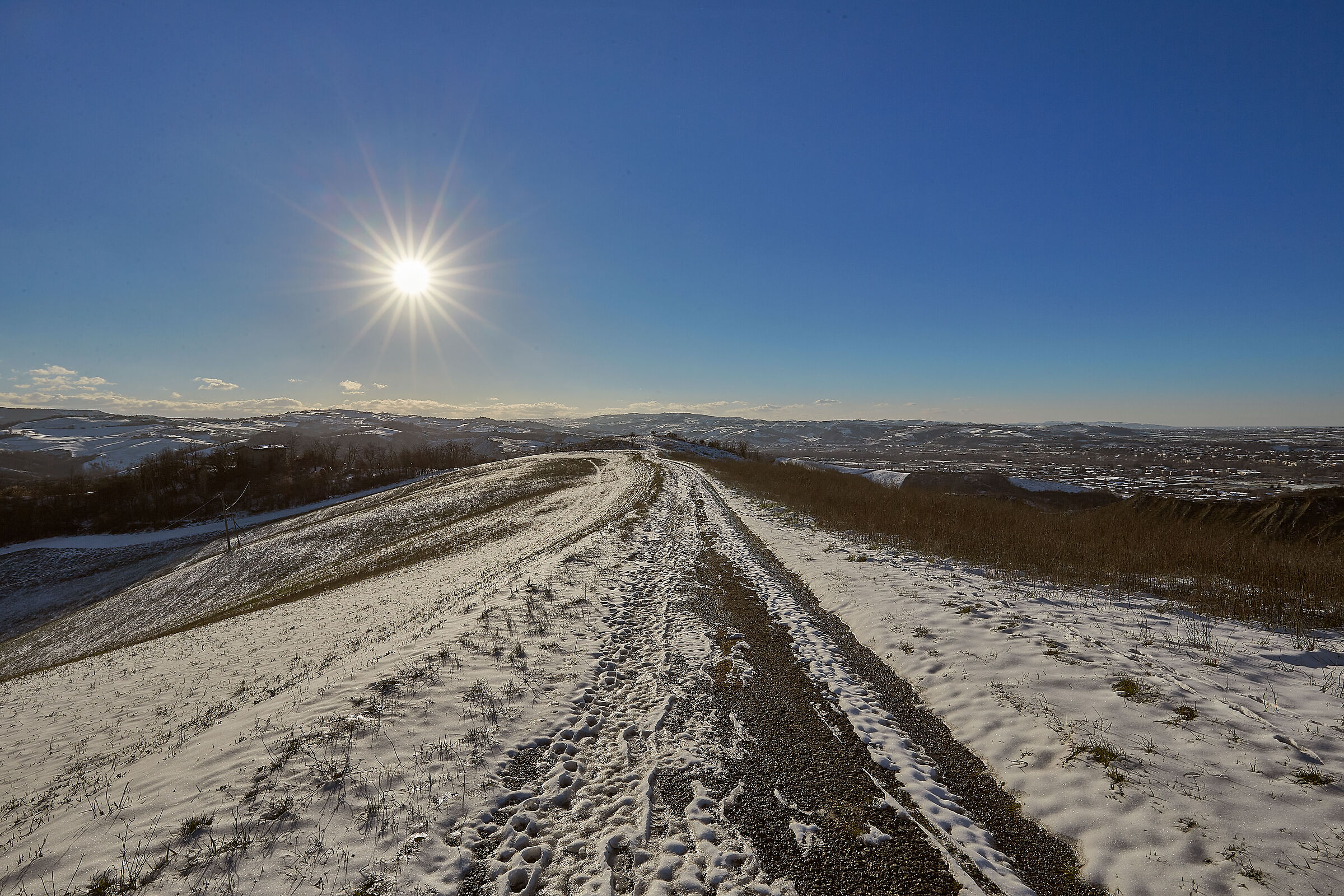 Valsamoggia innevata.