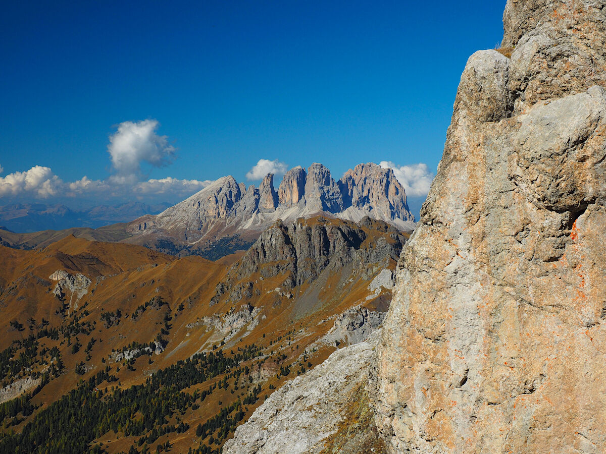 Sporgendosi un po'...