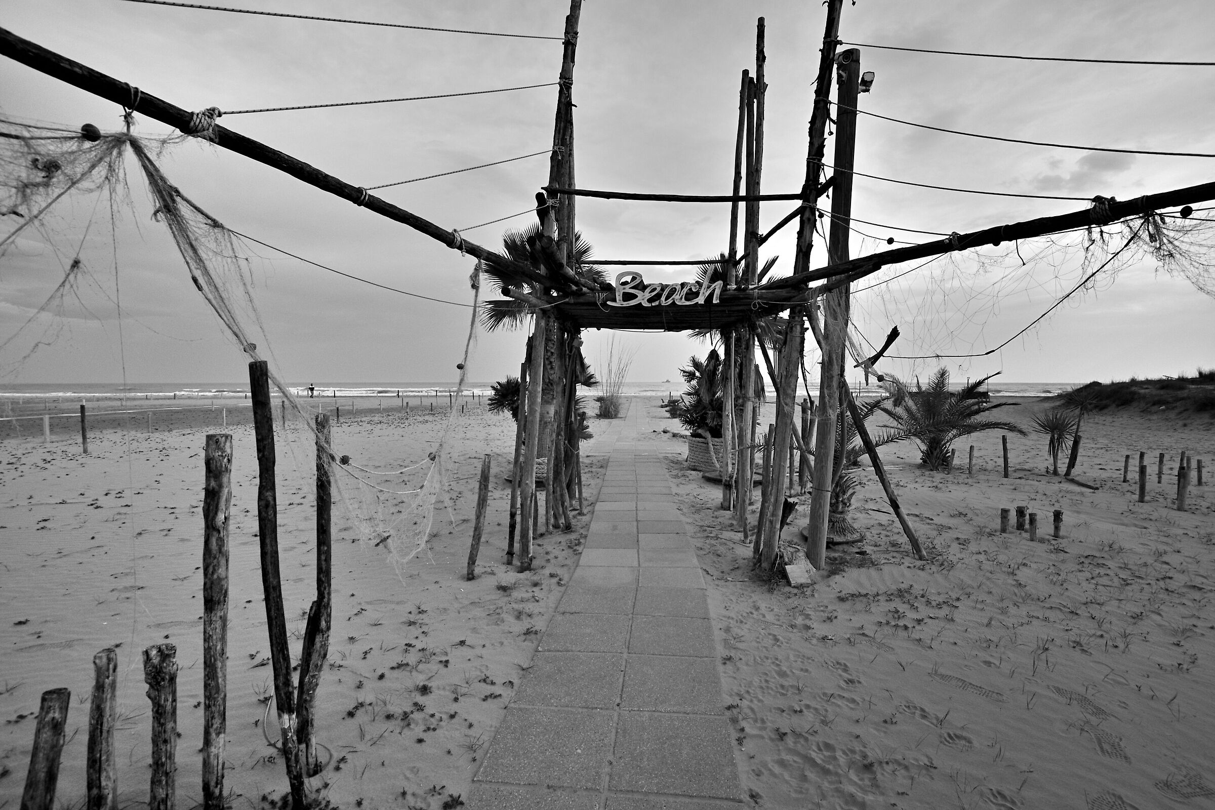 In the spider's jaws