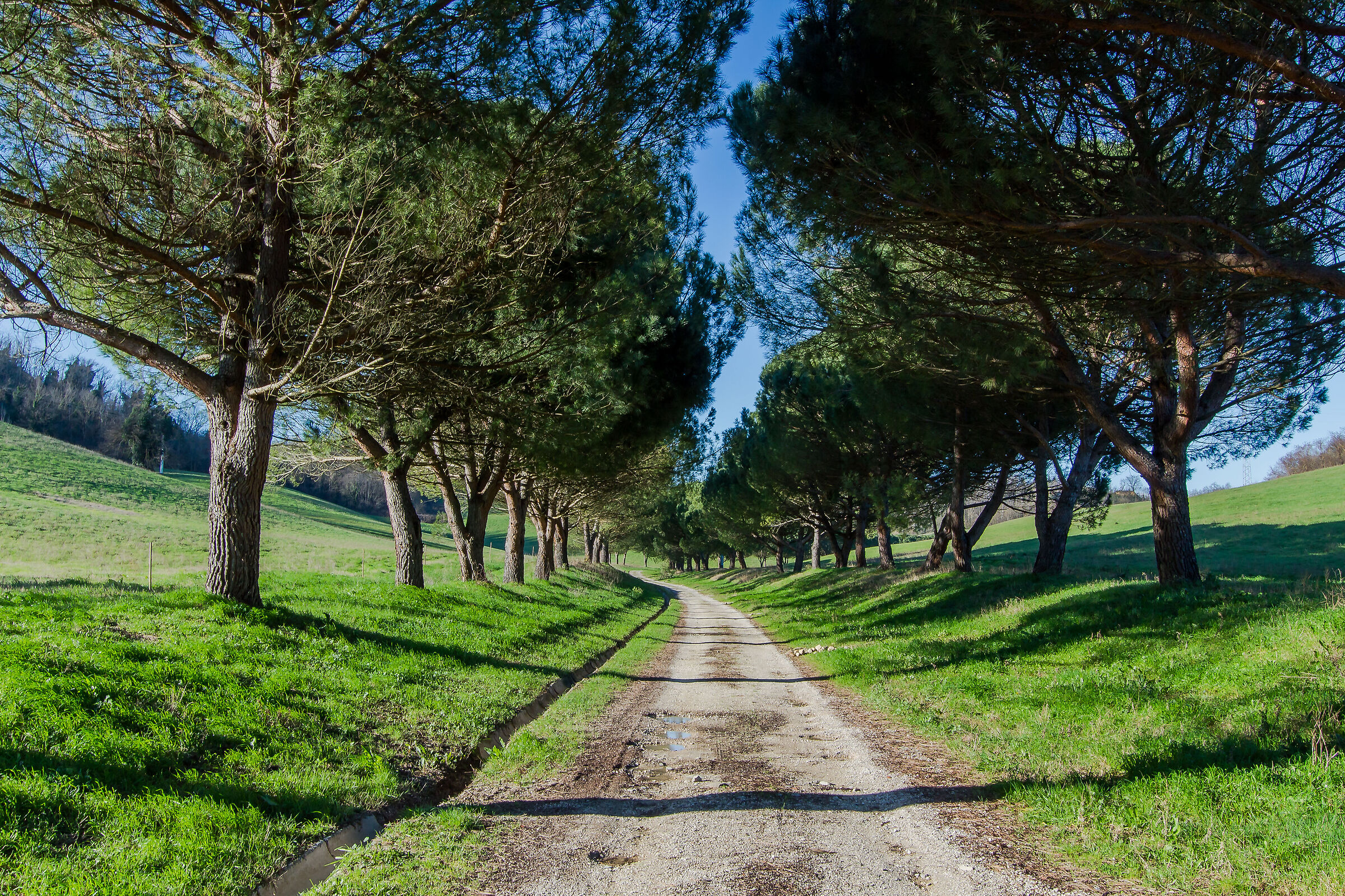 Sentieri toscani