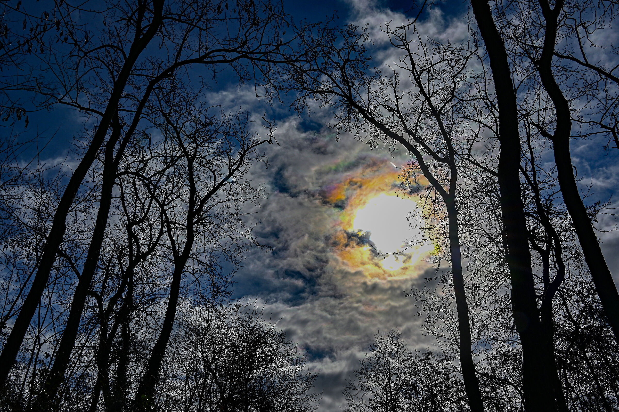 Does anyone look up there?