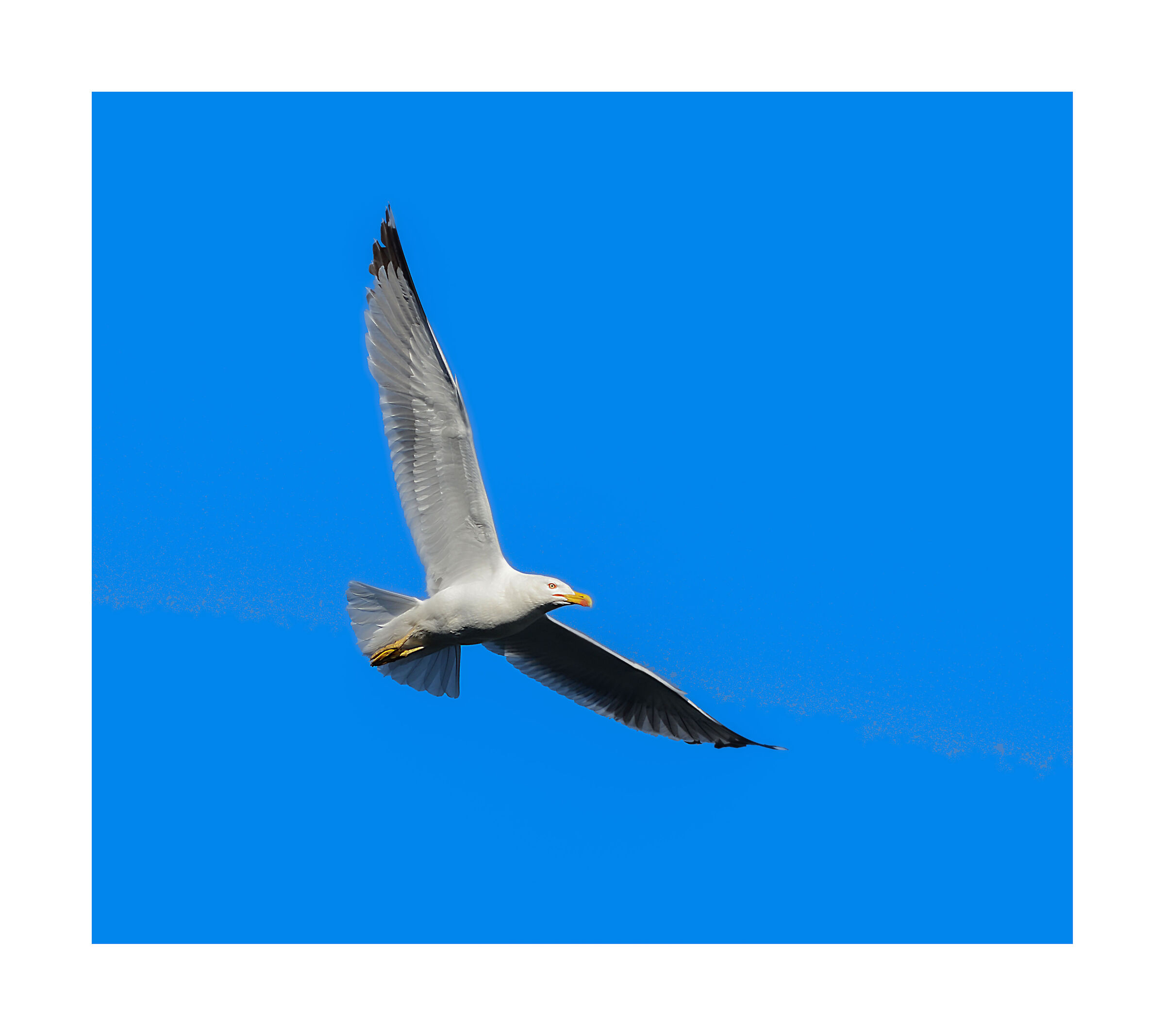 ... an infinite vision of freedom.