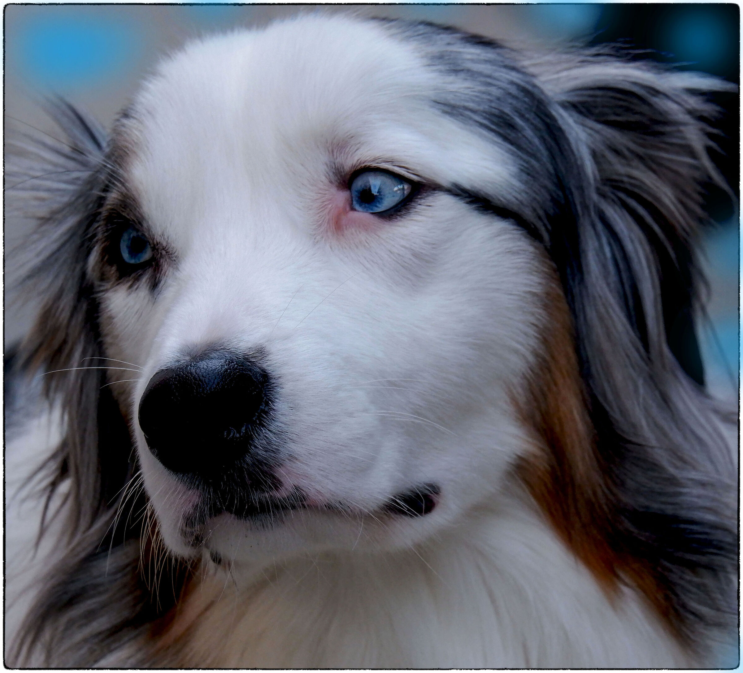 Angie - La ragazza con l'Eyeliner