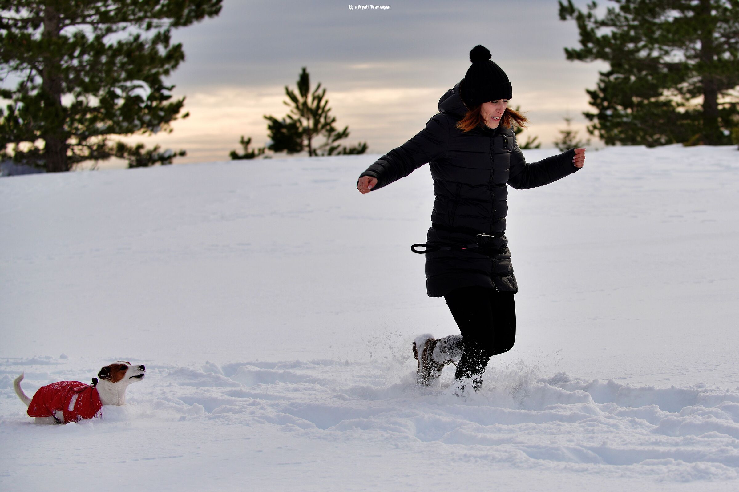 Nunt'acchiappo ... but if I catch you !!