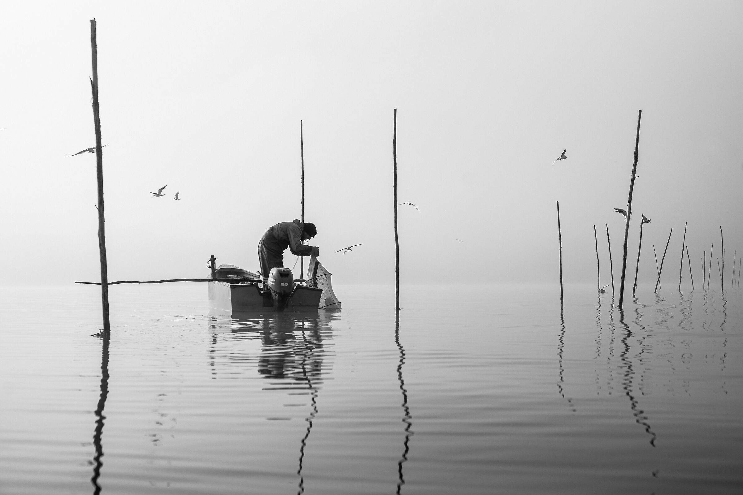" È la libertà che mi vuole "