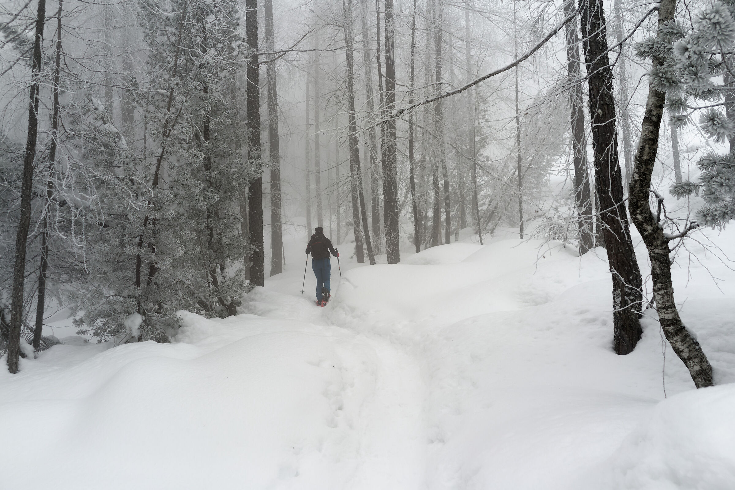 Nella neve con la DXO one