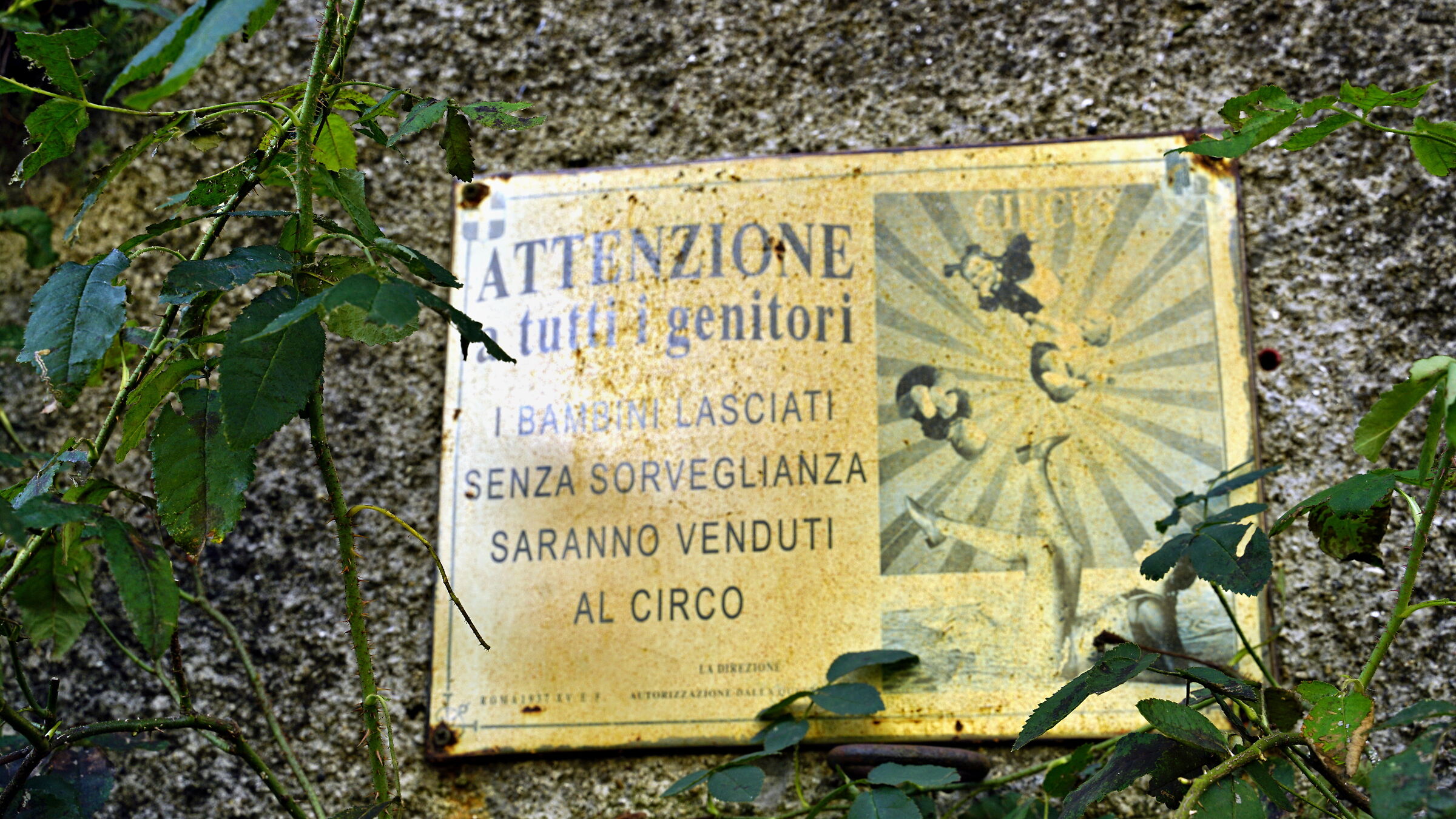 Problema ???: . . . Soluzione