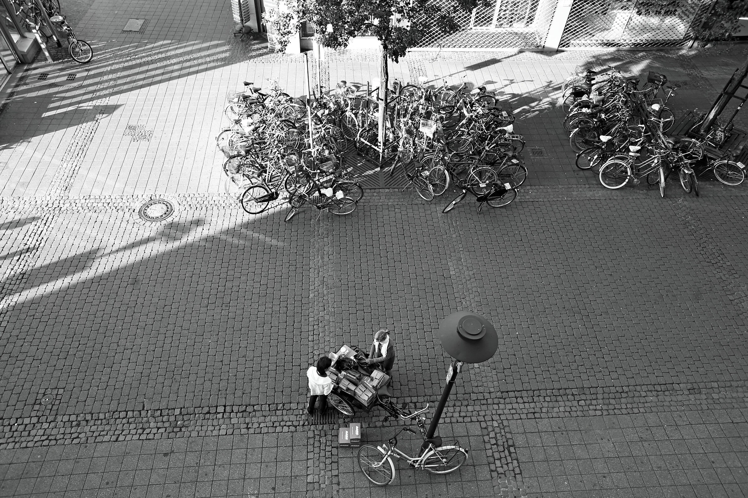 la città delle due ruote