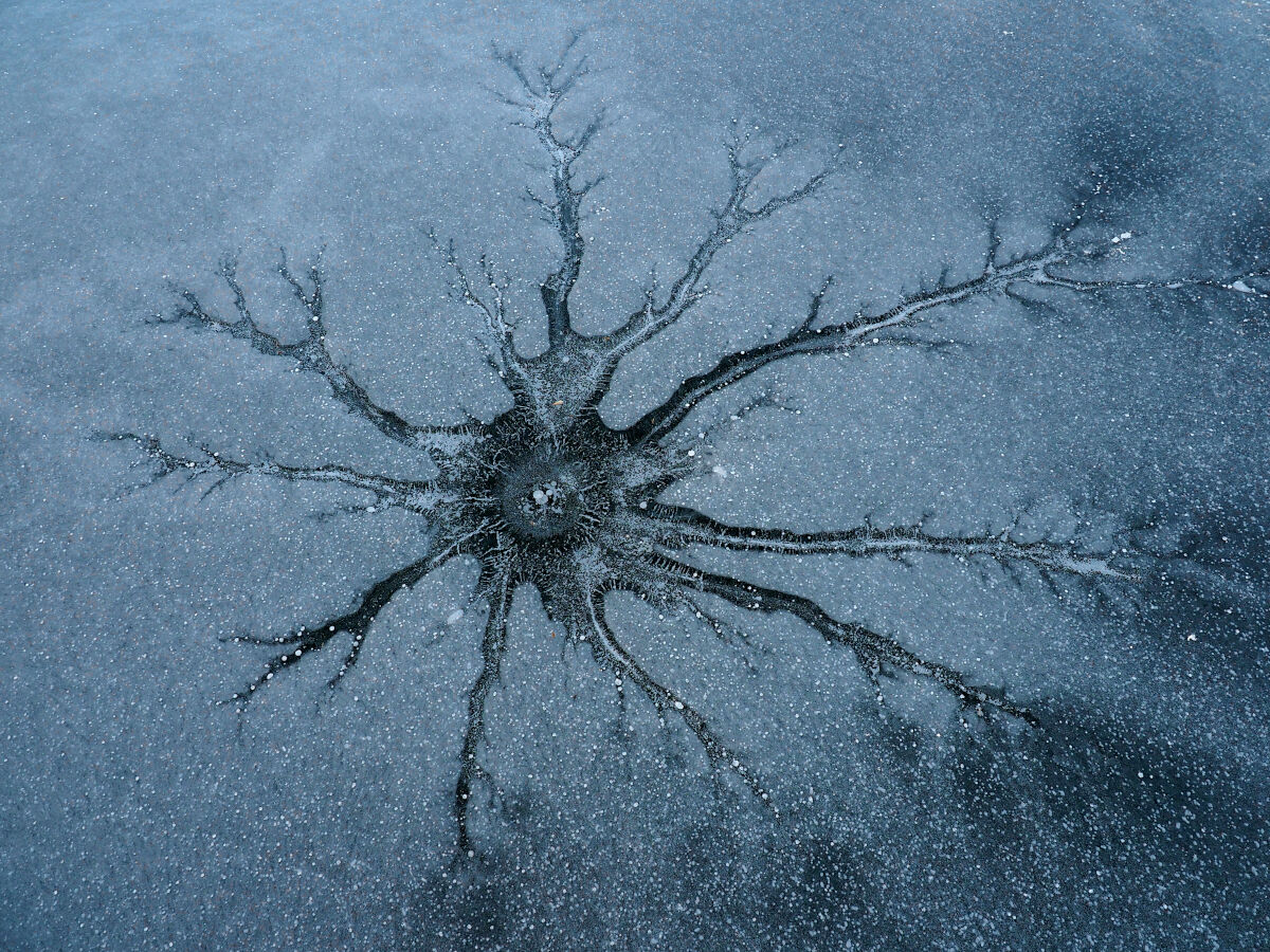 Dendrite sotto zero!!