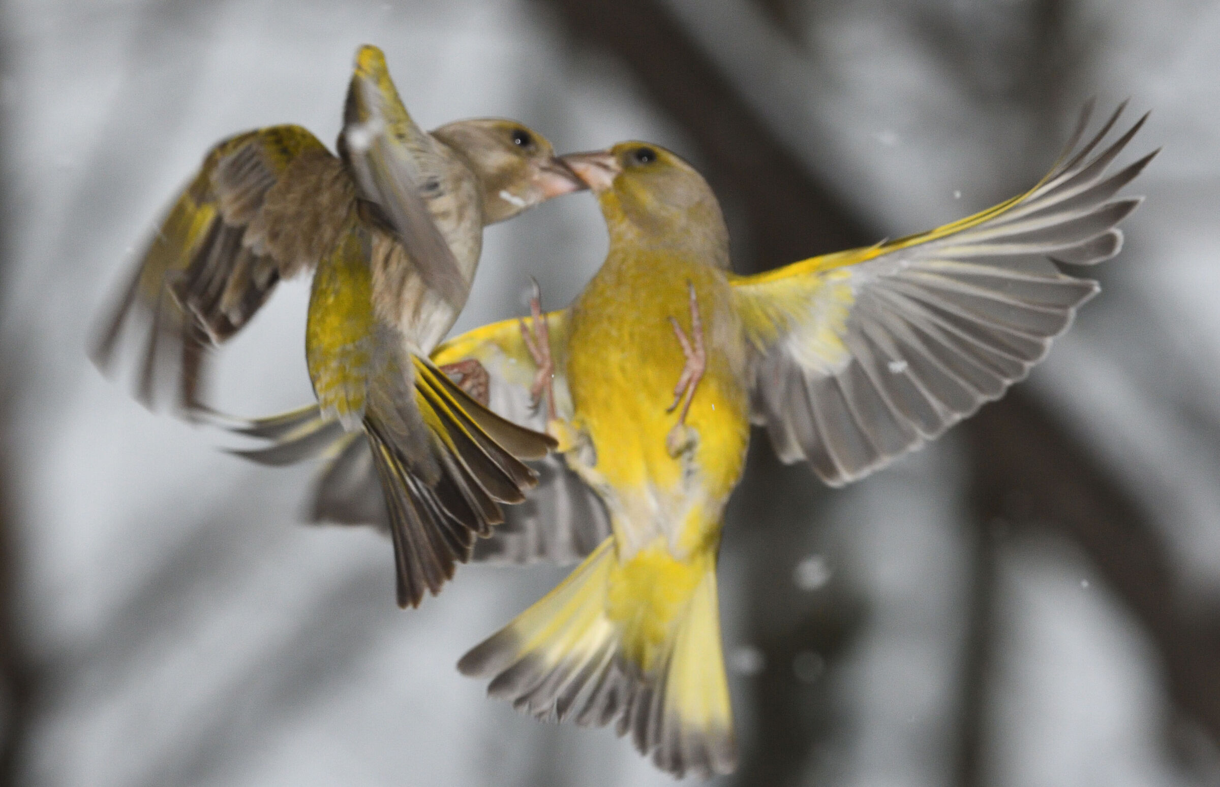 It ended like this, in the blurry as in the movies...