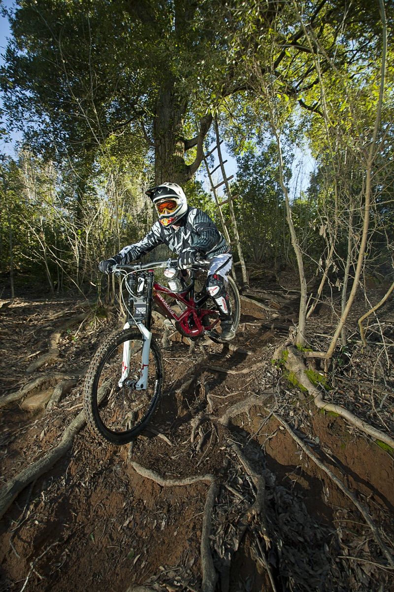 strani incontri nel bosco