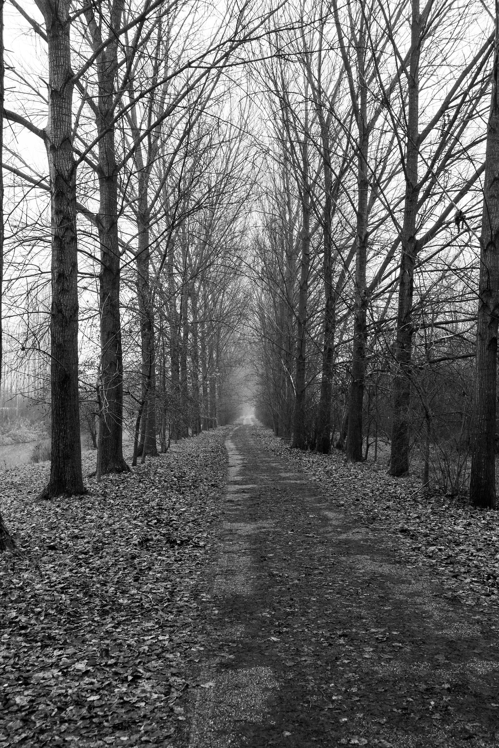 Passeggiata mattutina