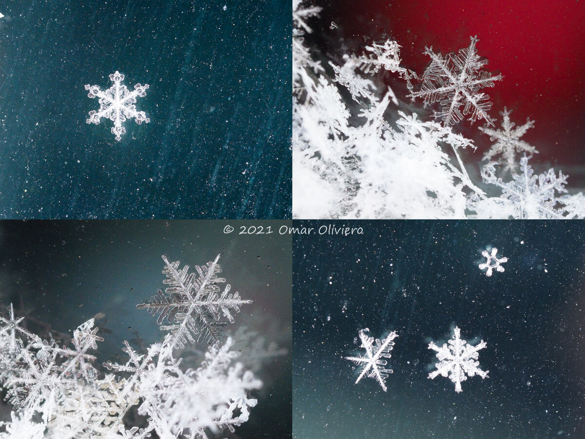 Cristalli di ghiaccio 4 foto