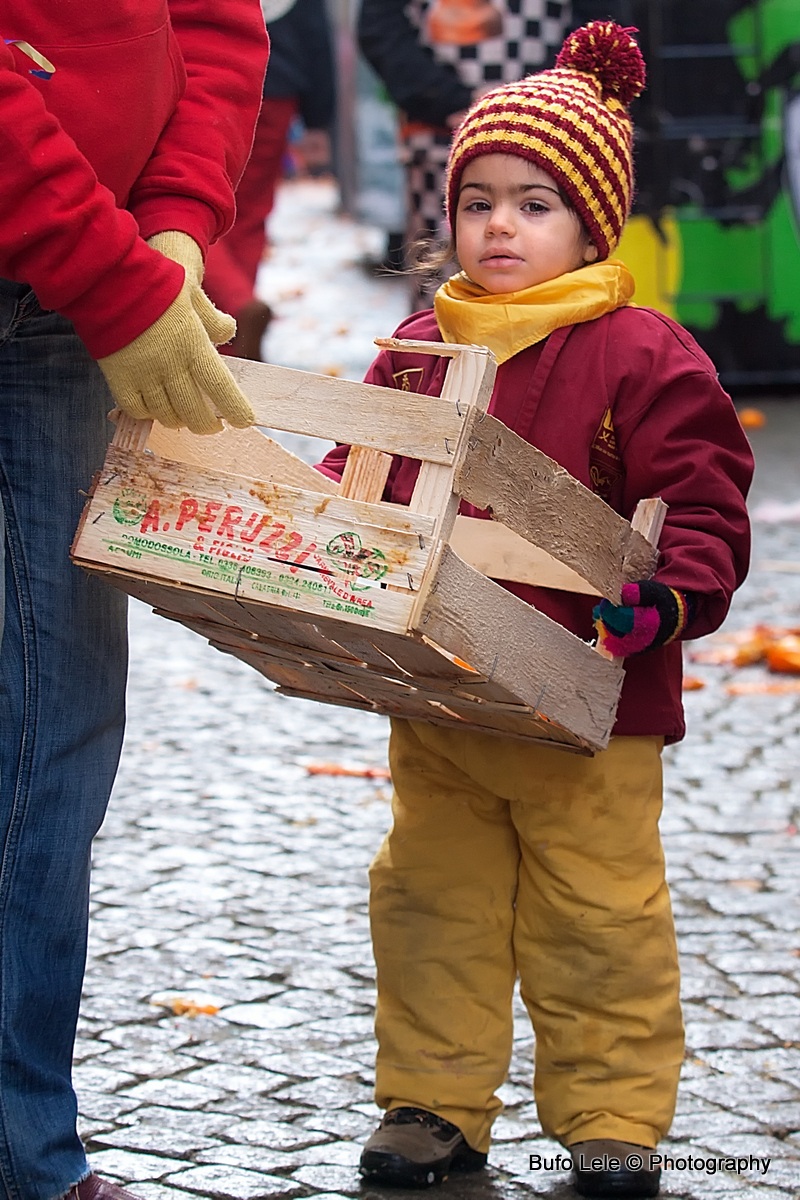 Piccoli aranceri crescono...