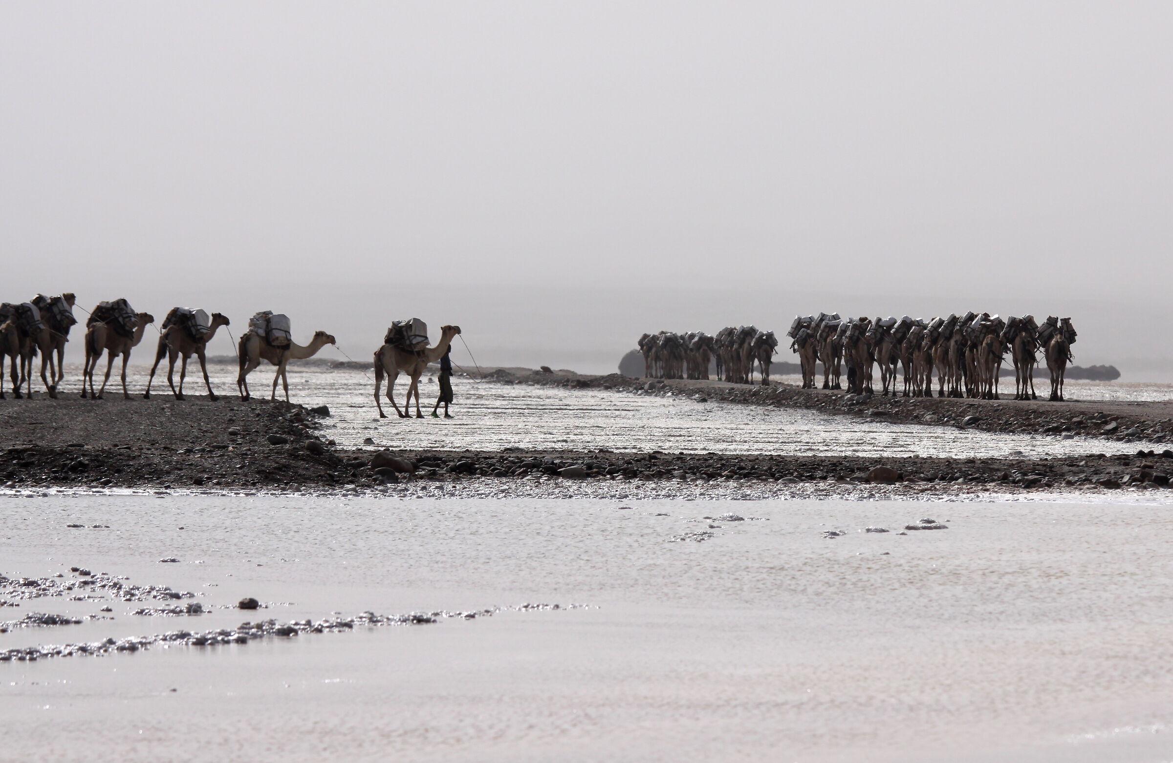 274-Precedenza a destra